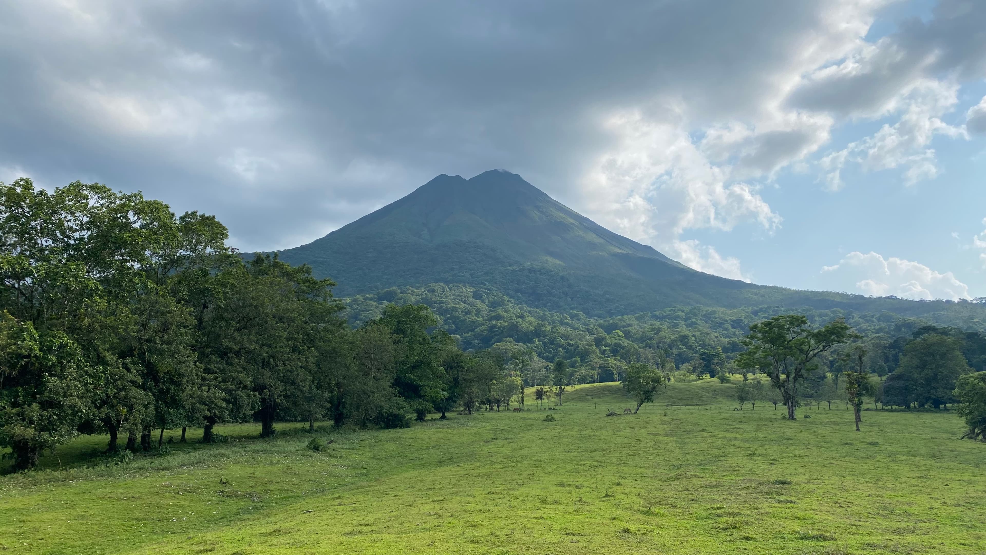 An image of mountains in the distance with trees on a cloudy day. 