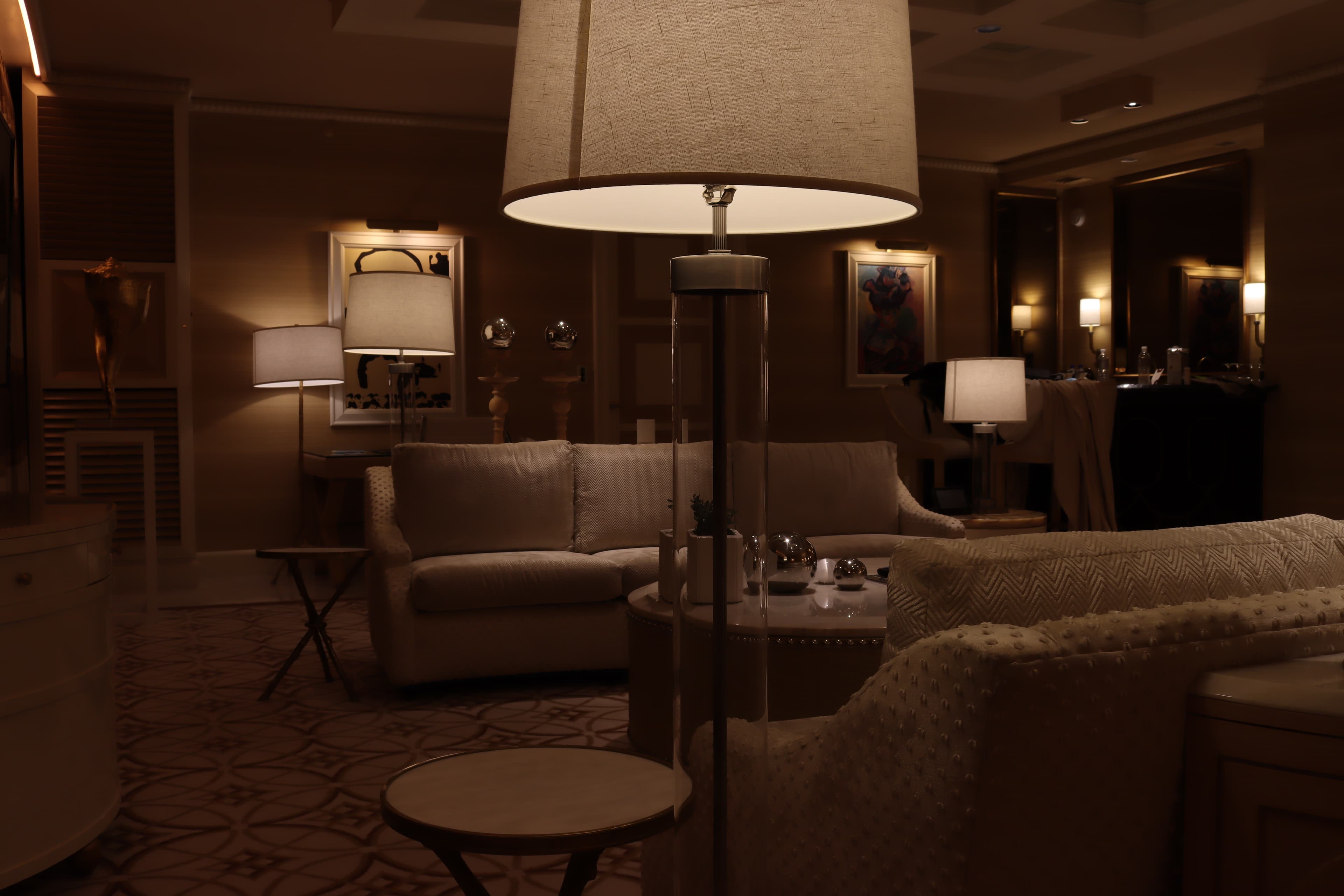 View of a sitting area with moody lighting and two couches facing one another