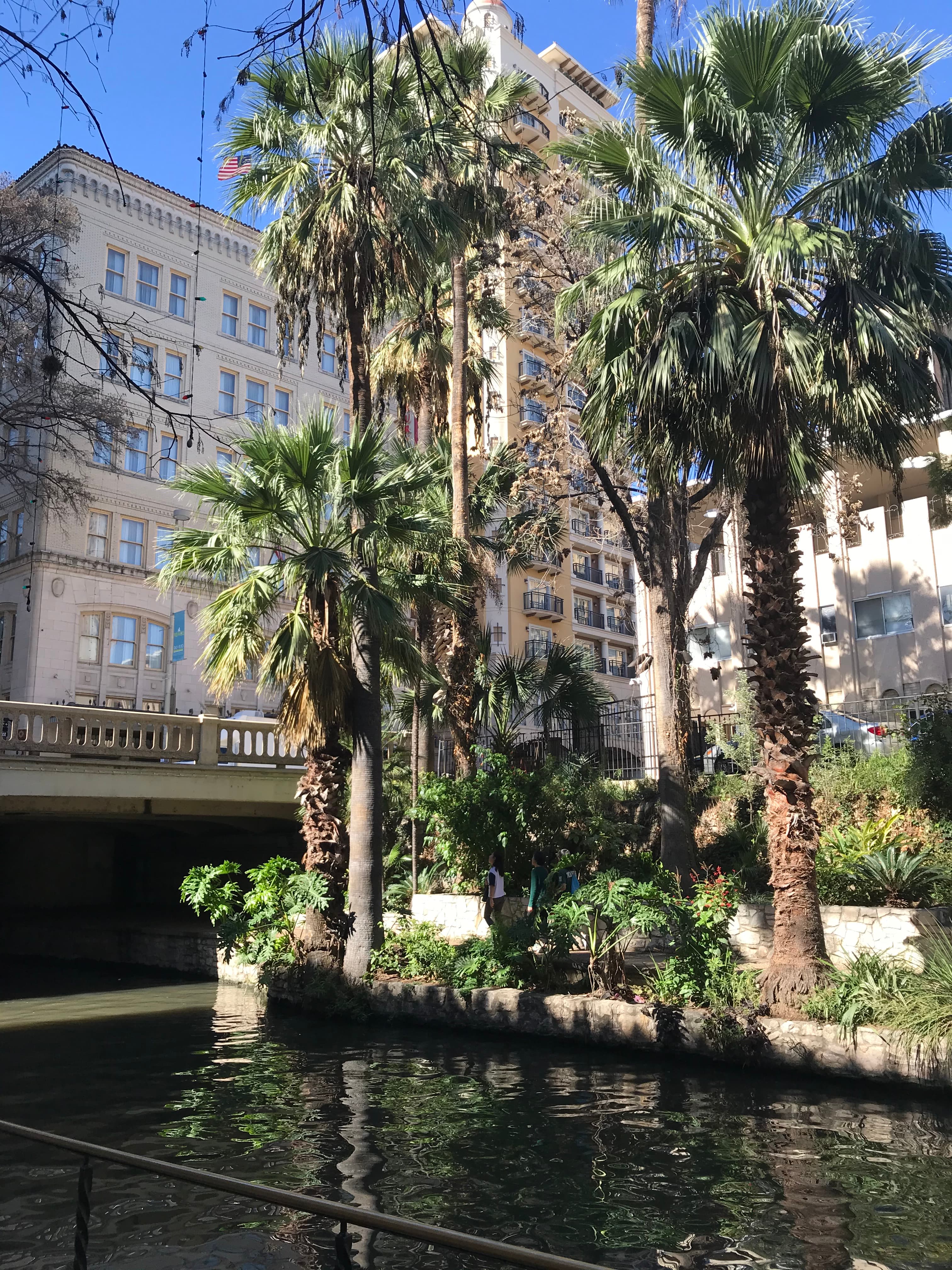 View of palm trees along the water in front of a large hotel-like building on a sunny day