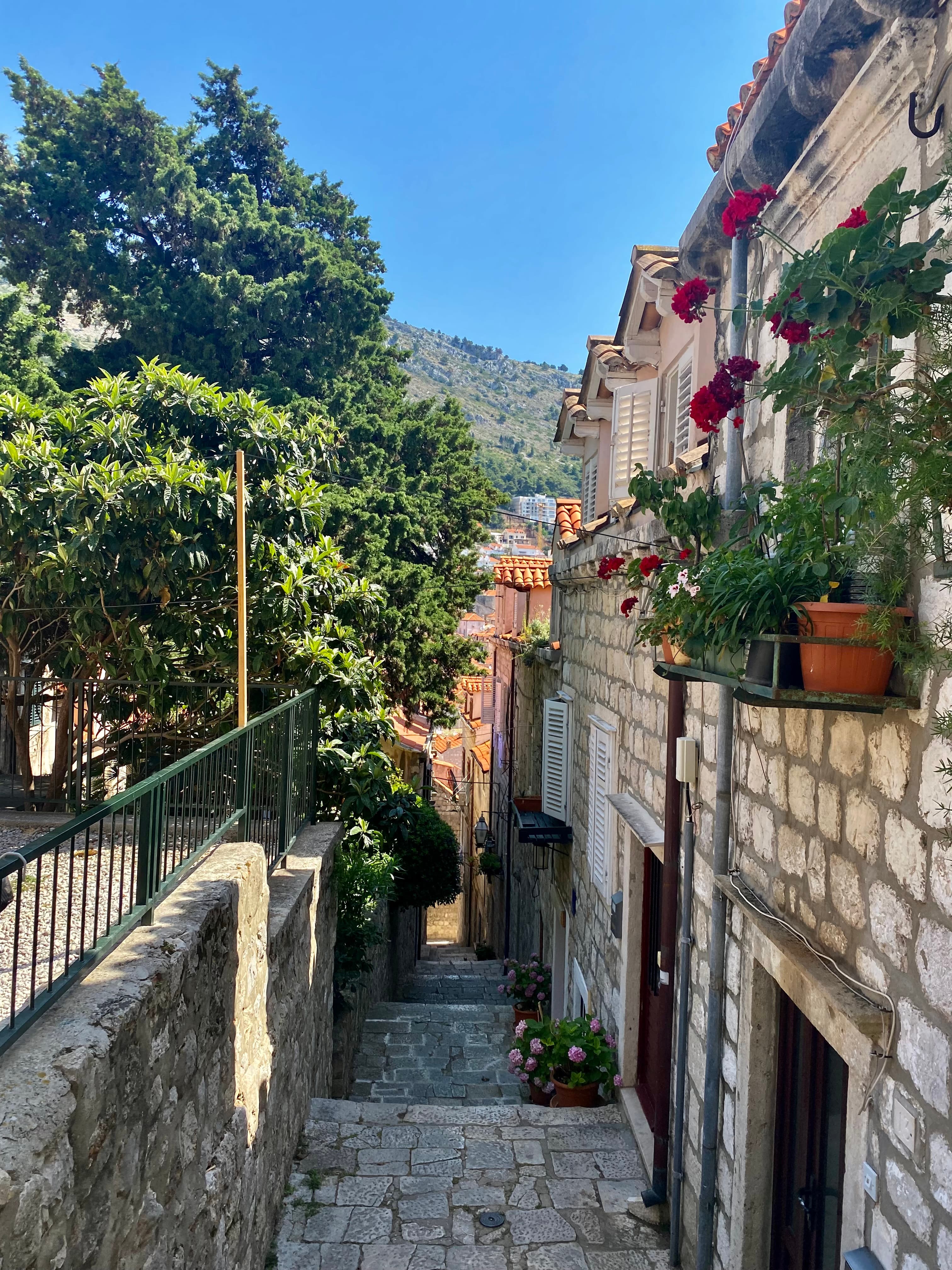 A view of a town on a sunny day with foliage in the distance.