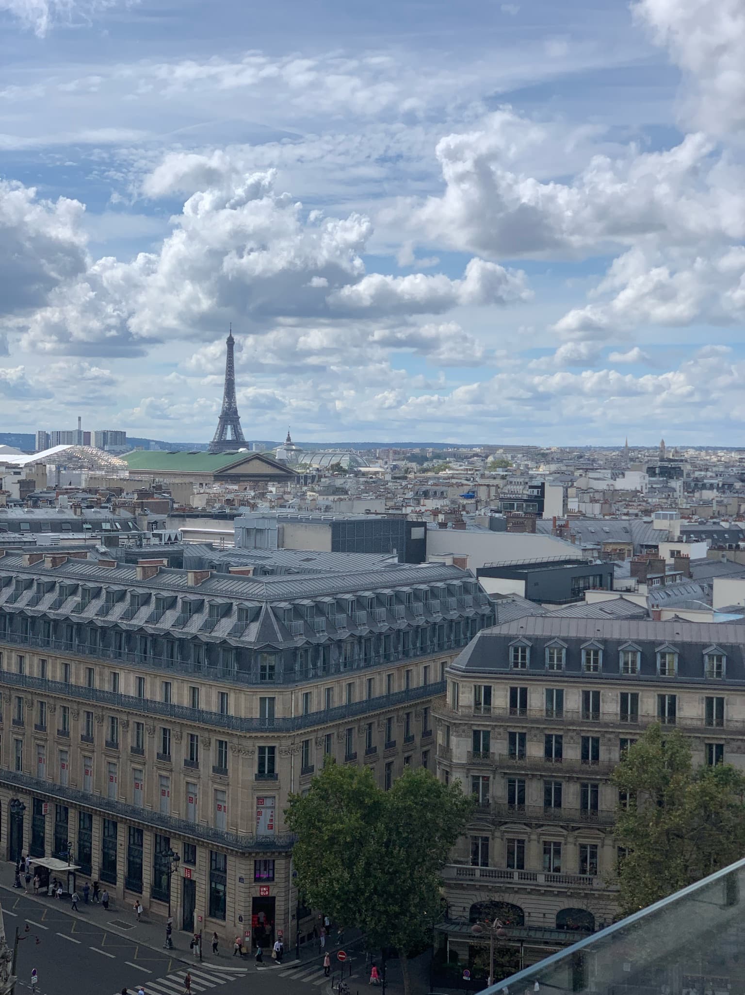 View of Parisian rooftops and the Eiffel Tower in the distance on a cloudy day. 