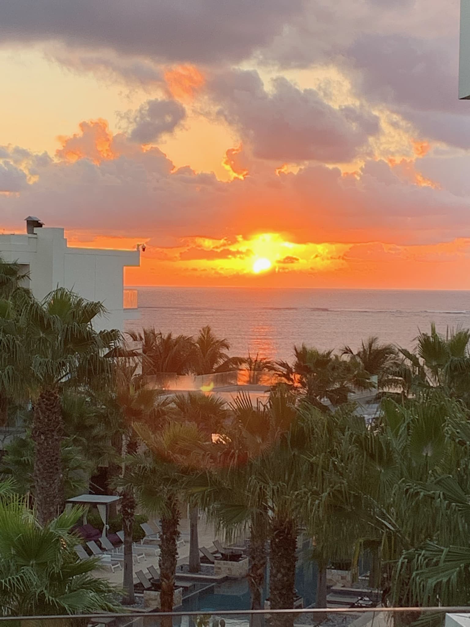 The sun setting in the distance over palm trees facing the ocean. 