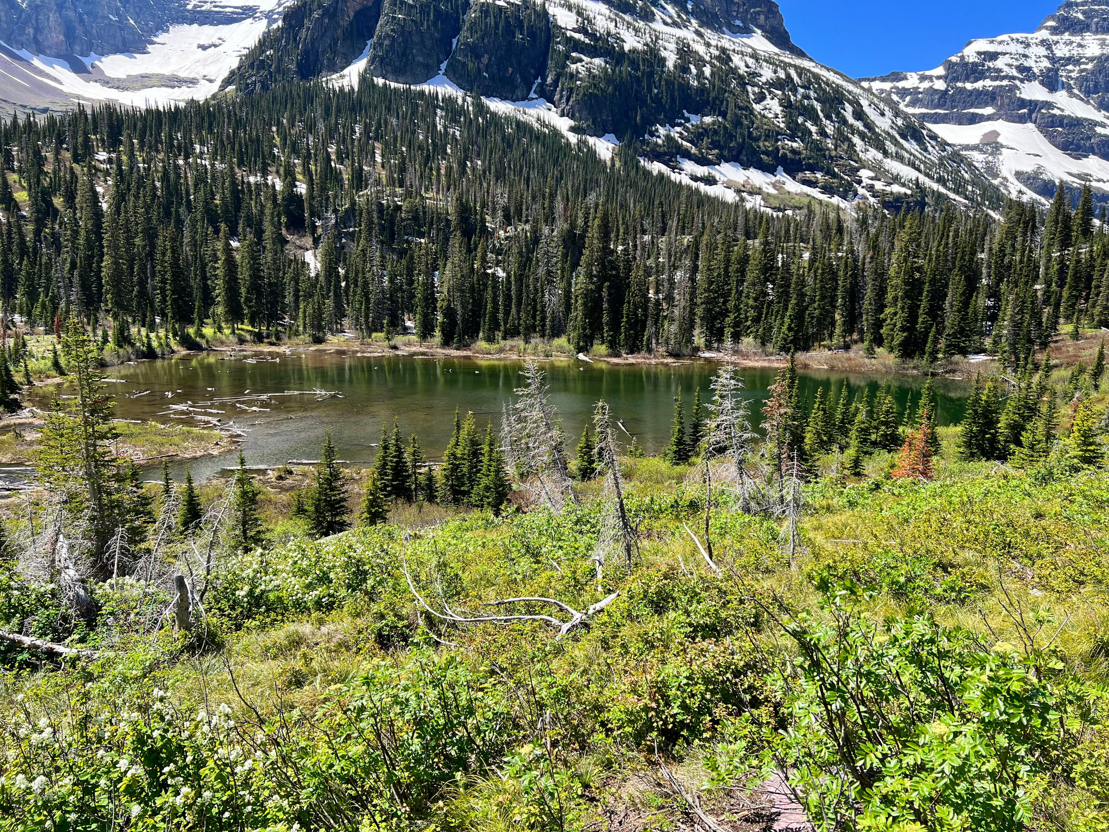 A body of water in a valley surrounded by trees and ice-capped mountains on a clear day.