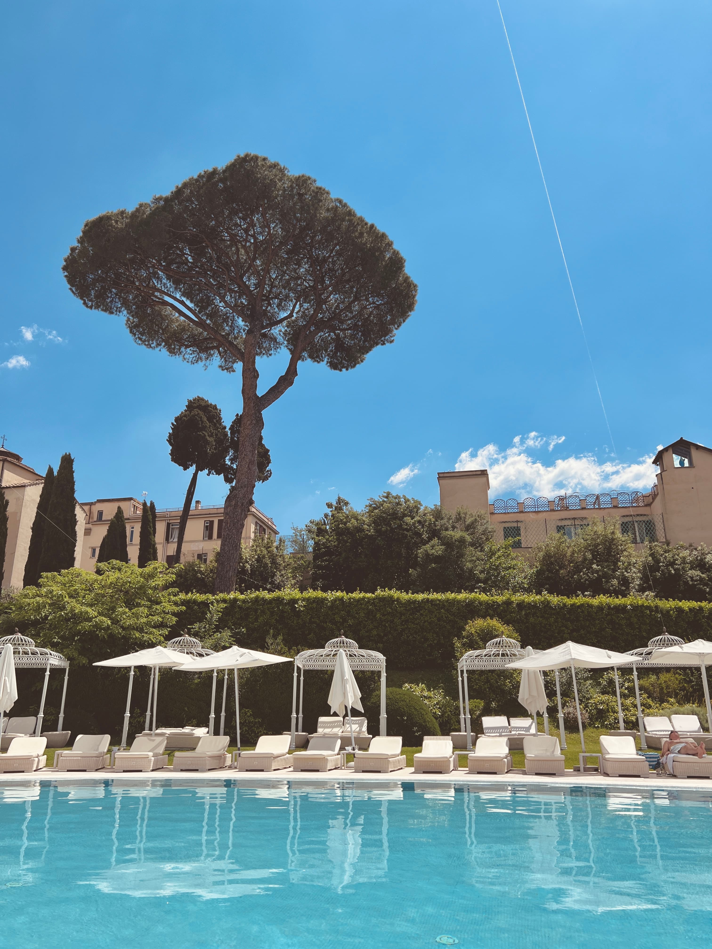 View of a resort pool lined with white lounge chairs and umbrellas with a large tree behind them on a sunny day