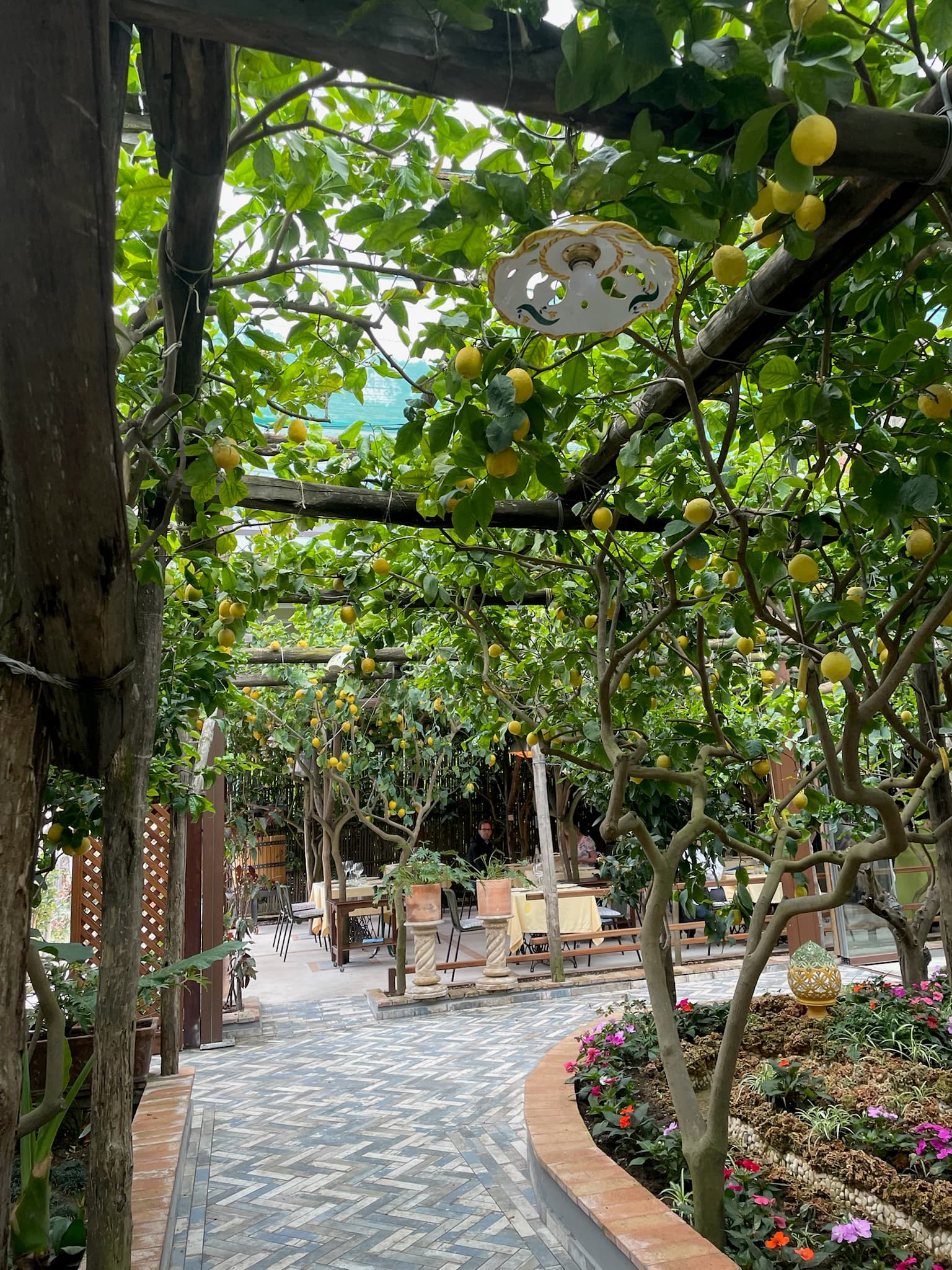 Pretty view of a stone path leading towards outdoor seating under a canopy of trees
