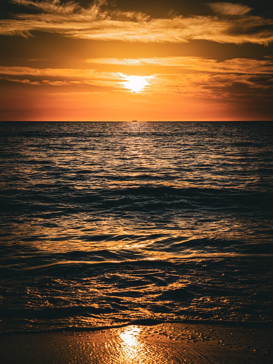 The sunset over the ocean.