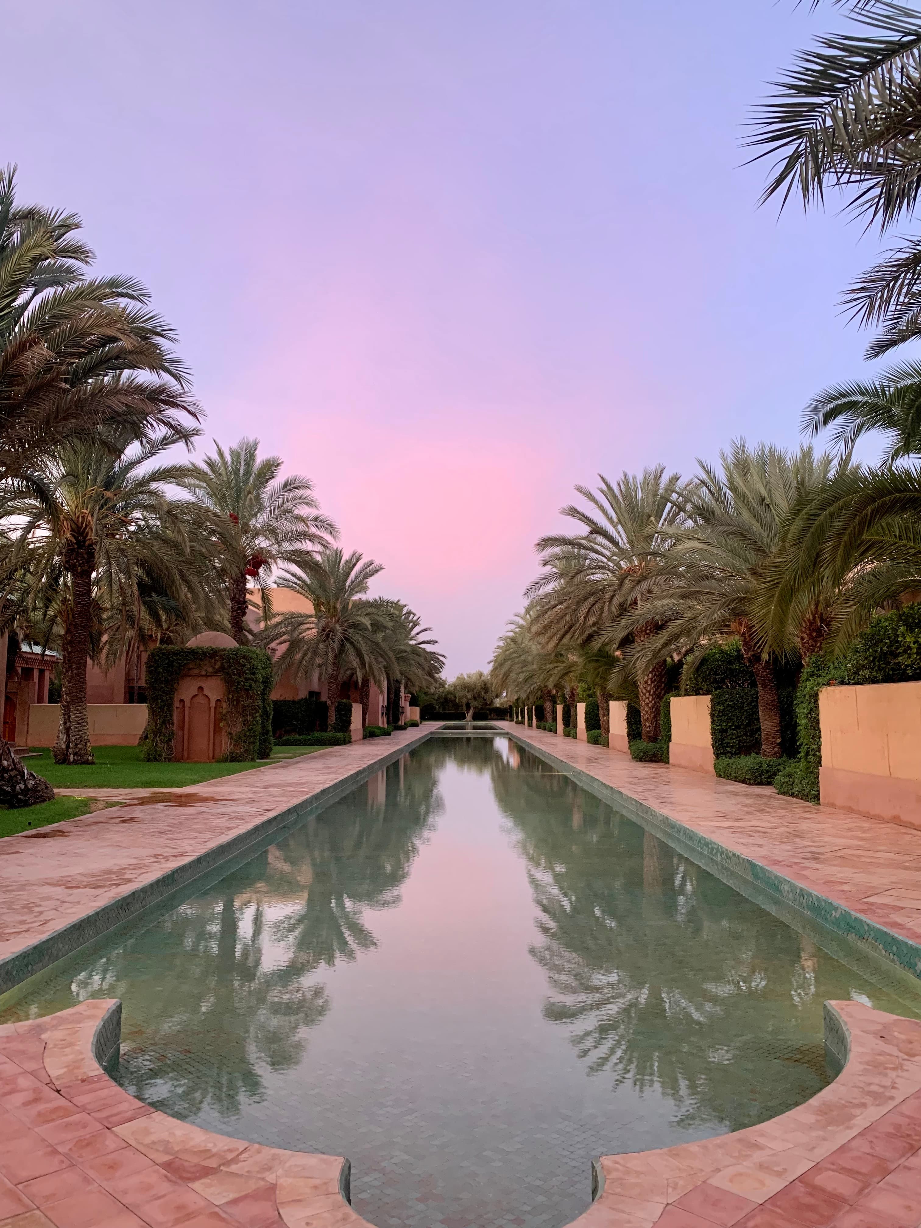 A lap pool surrounded by palm trees and white stone at sunset. 