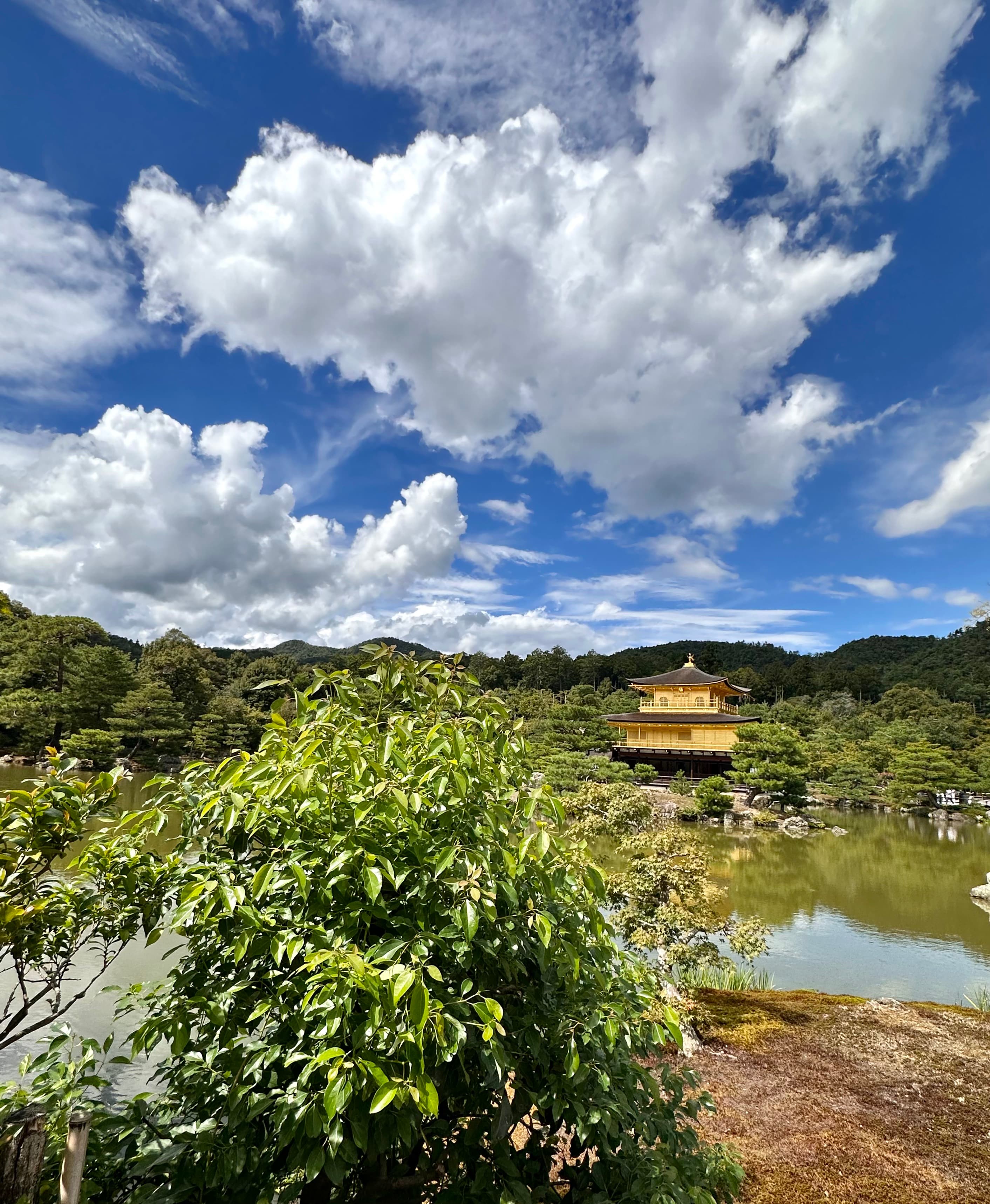 A view of a lush pond with a historical building and rolling hills in the distance during the day.
