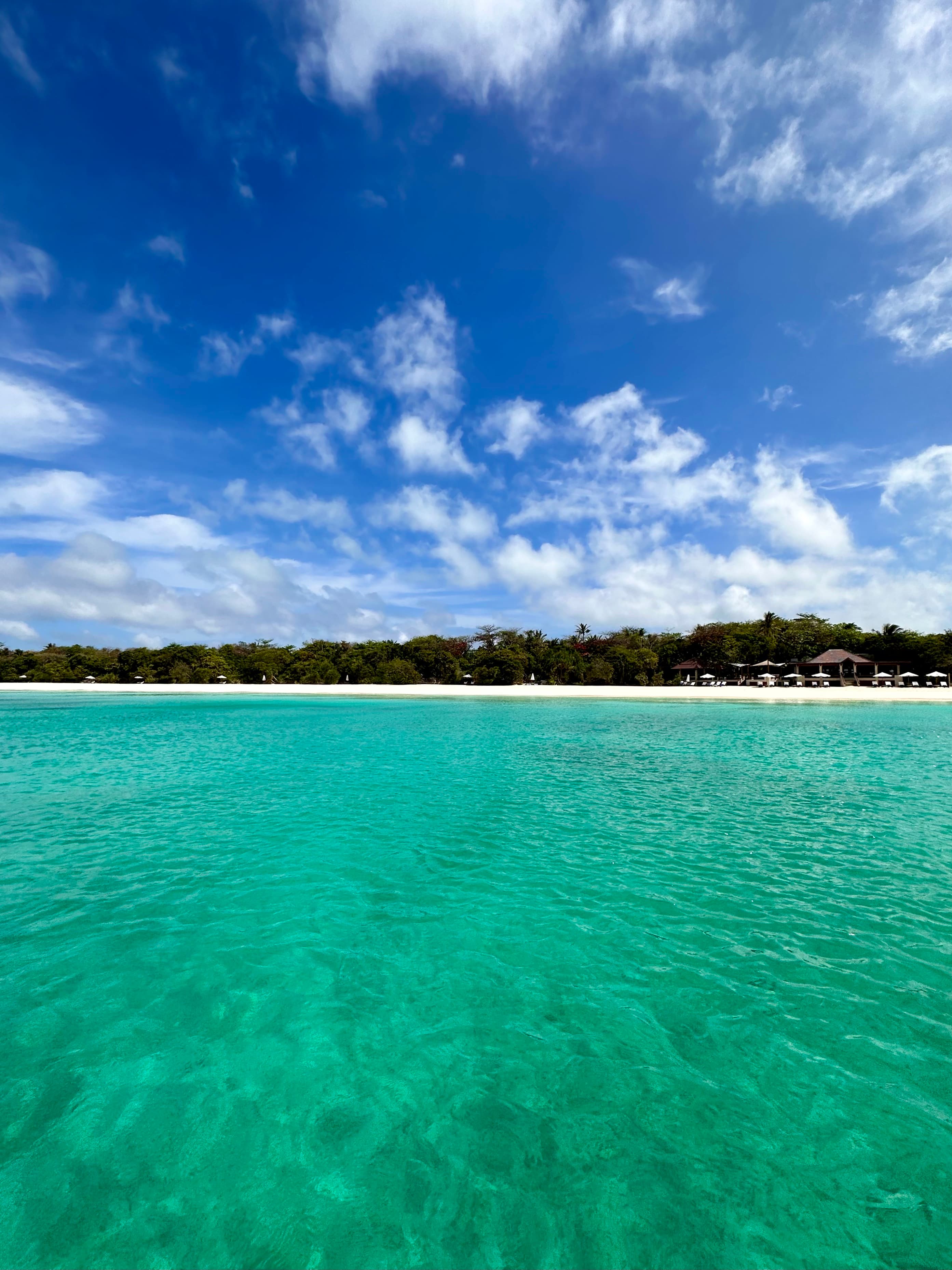 A view from a crystal clear, teal, calm ocean with white sand beach covered with trees and a blue sky during the day.