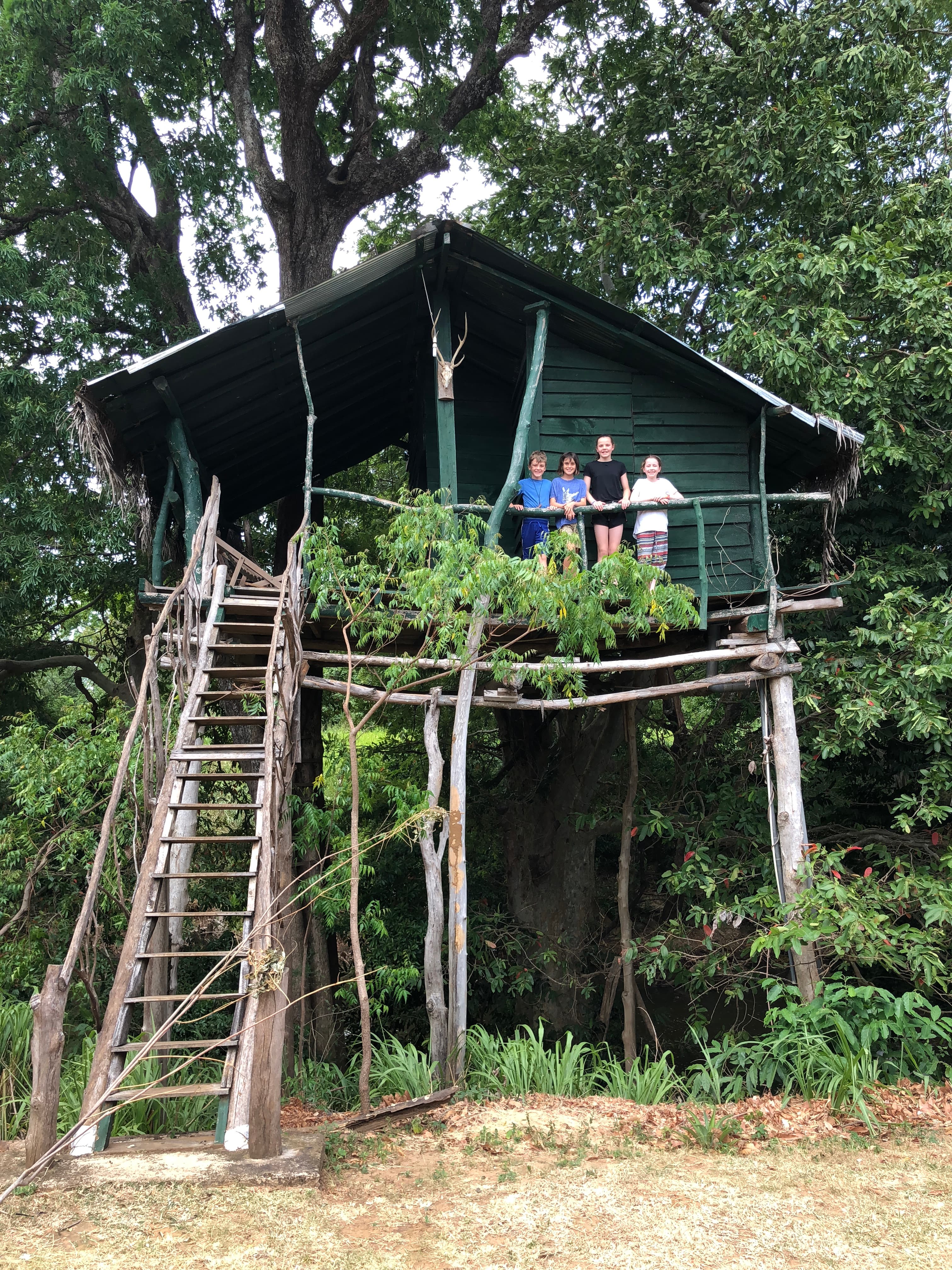 Four people seen standing on the balcony of a tree house surrounded by trees with a wooden staircase leading to the ground