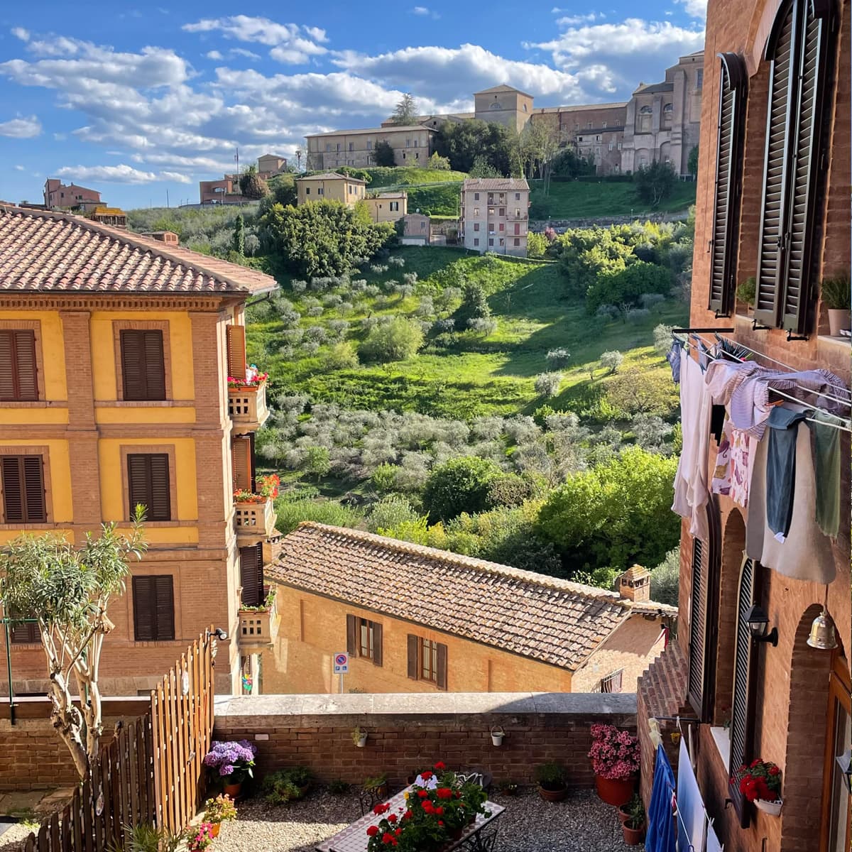 Beautiful view of yellow buildings with hanging laundry and a green hillside in Siena, Italy on a sunny day