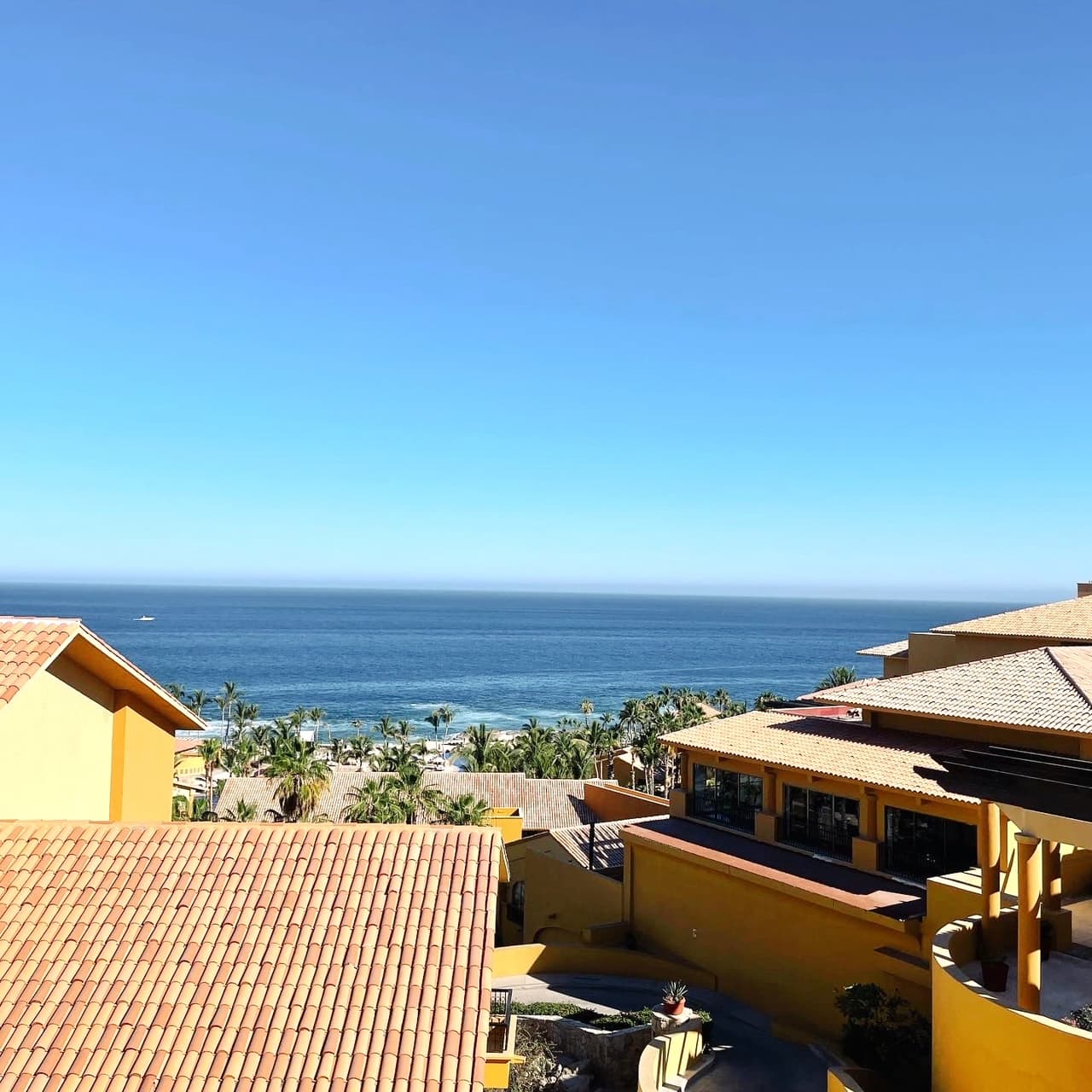 Pretty view of tiled rooftops and the ocean in the distance on a sunny day