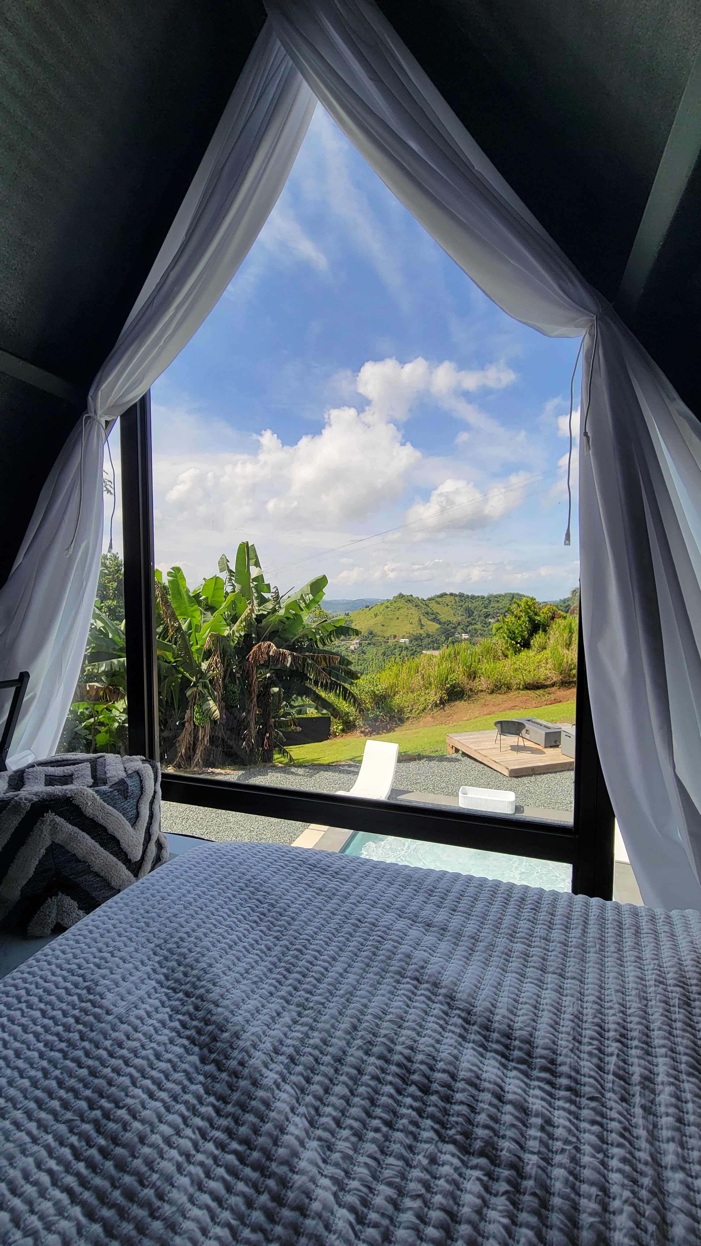 View of a tree-filled landscape seen through a large window on a sunny day