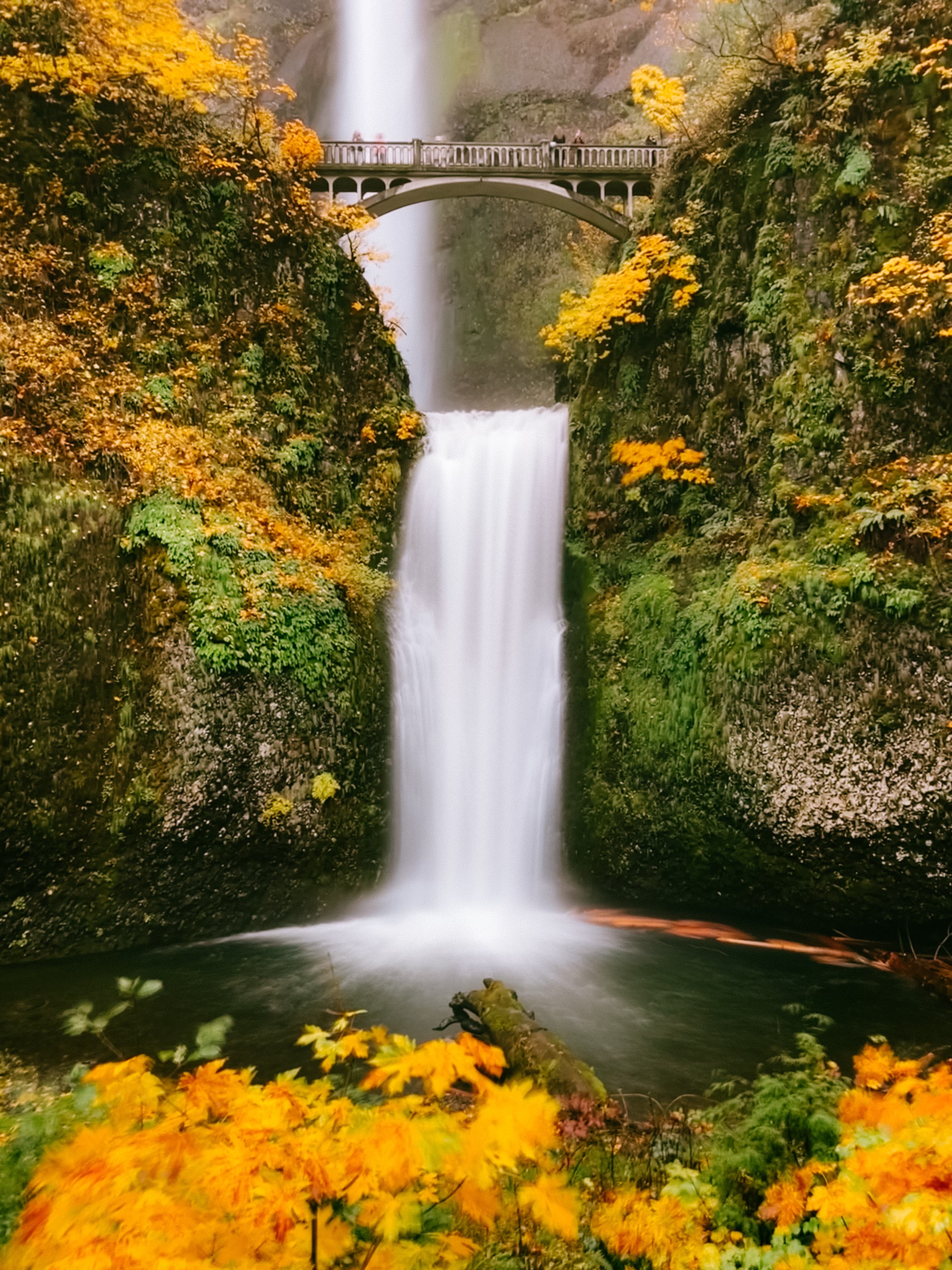 Gorgeous view of a waterfall pouring into a body of water surrounded by yellow and green autumn leaves