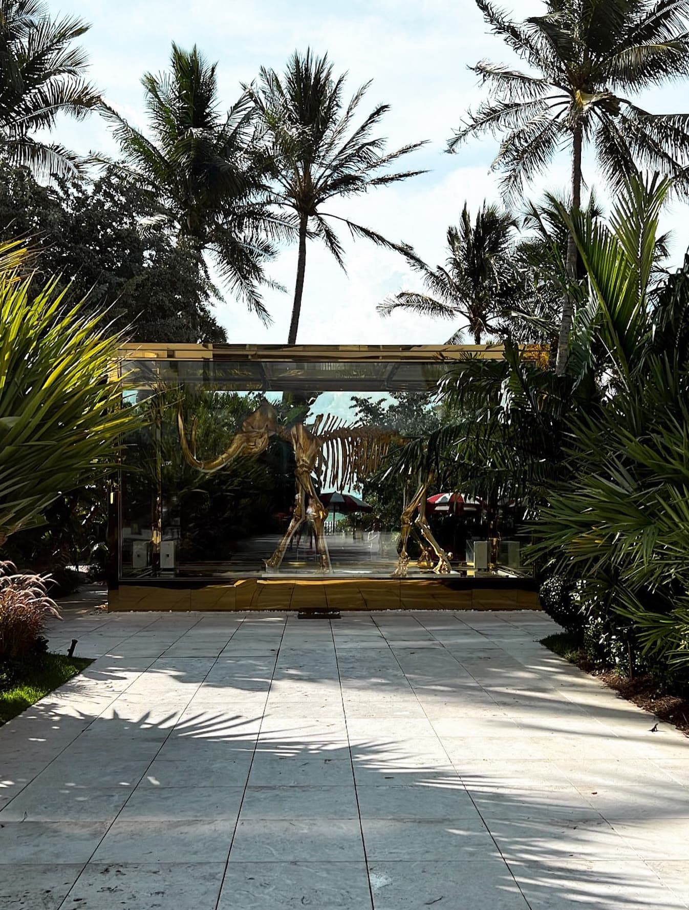 View of palm trees outdoors during the daytime.