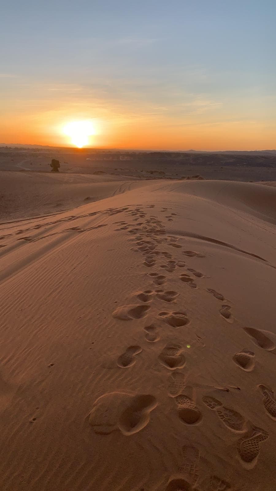 Beautiful view of a trail of footsteps in desert sand at sunset