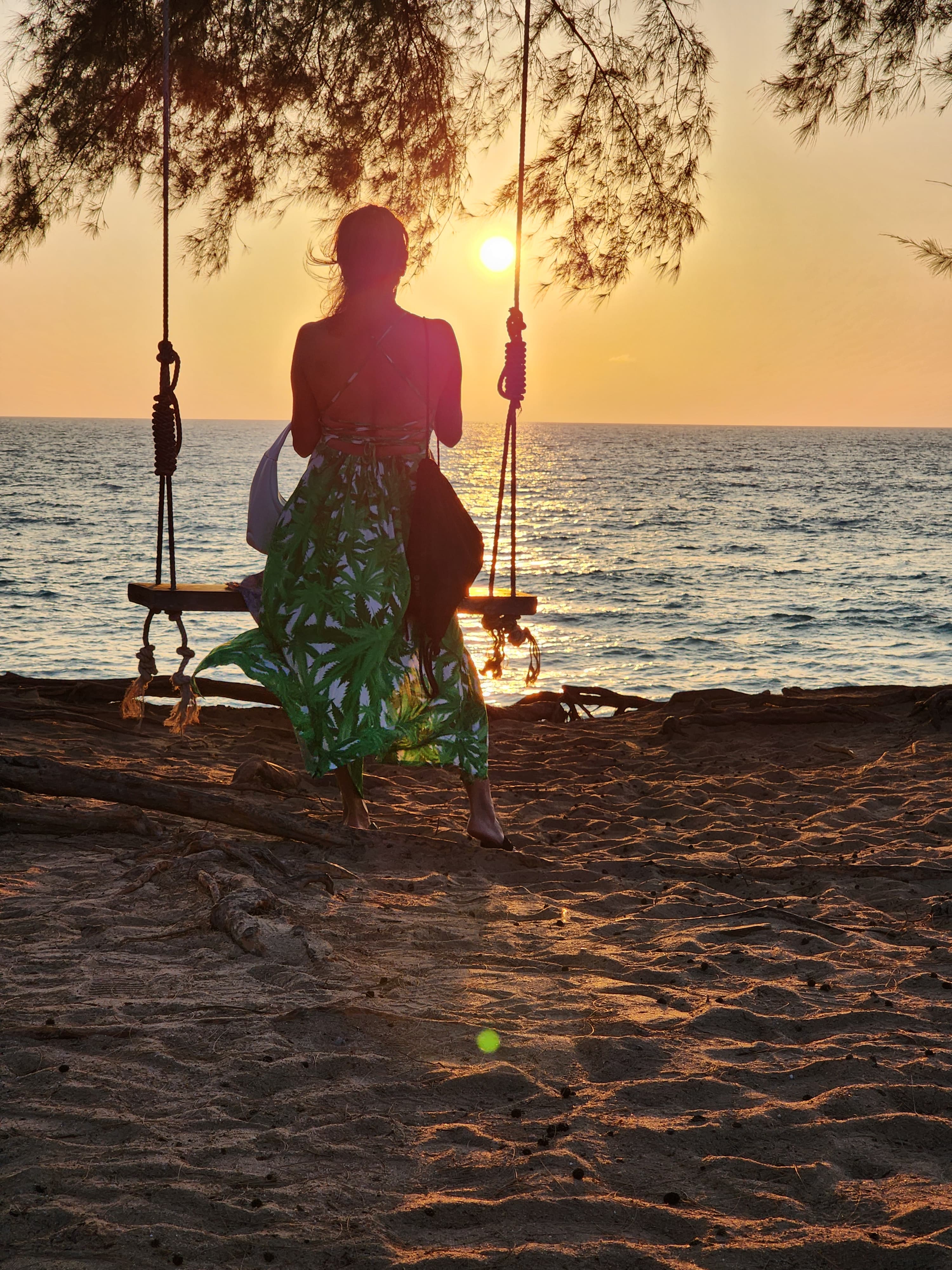 Advisor sitting on a swing attached to a tree looking out over the ocean during sunset.