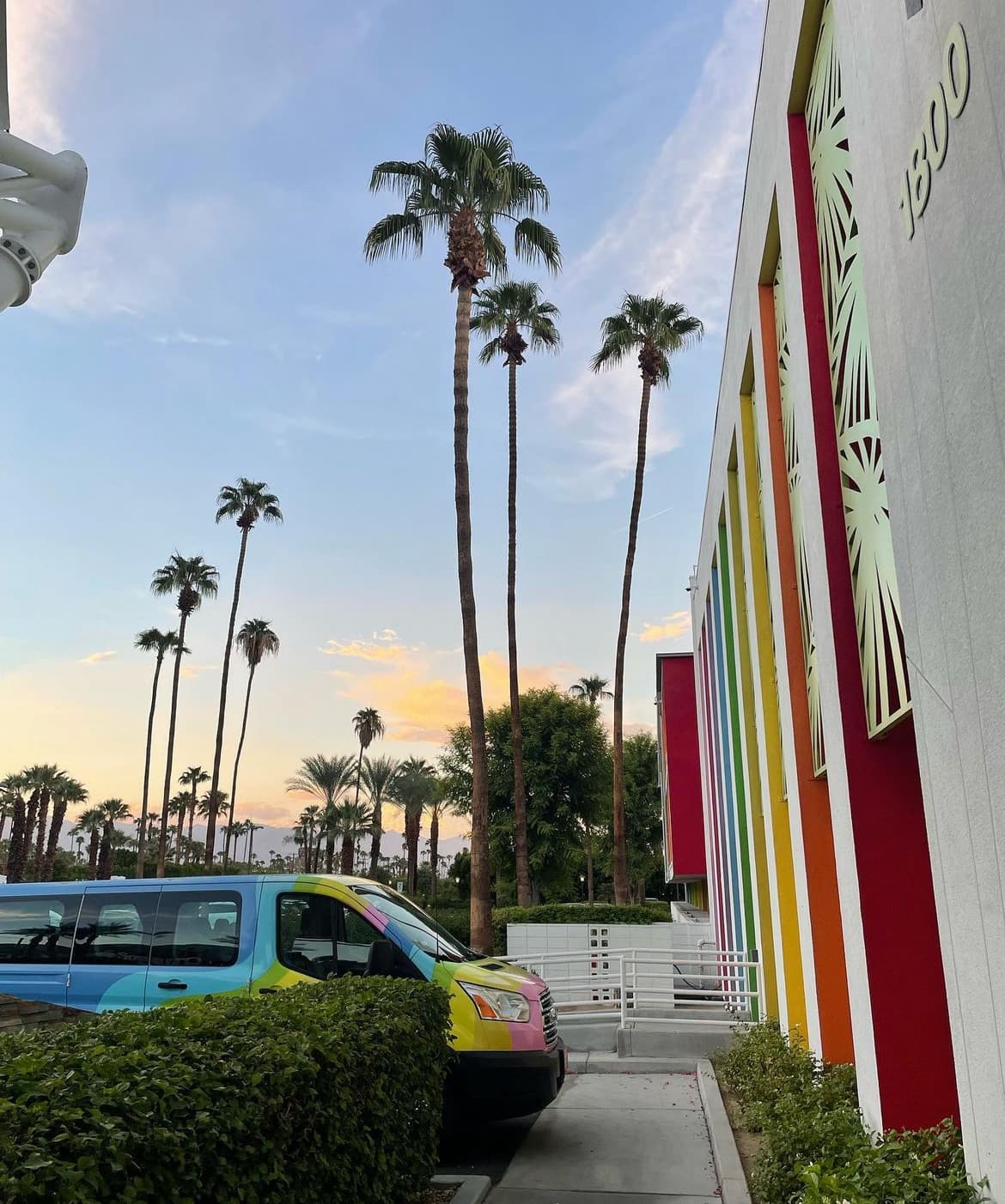Palm trees reach toward a pink sky at dusk on a bustling side street. 