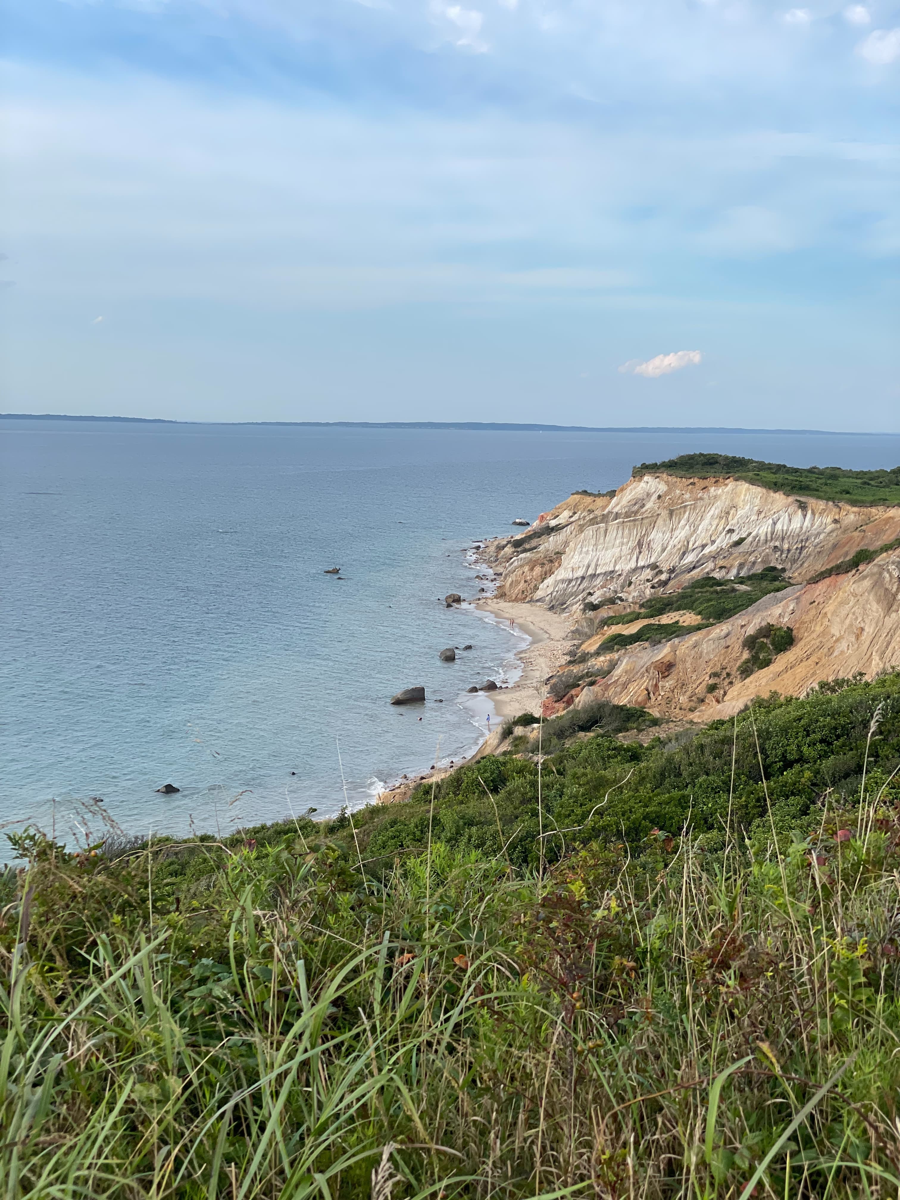 A view of the coastline with calm waves, light sandy beaches and green grasses growing on a sunny day.