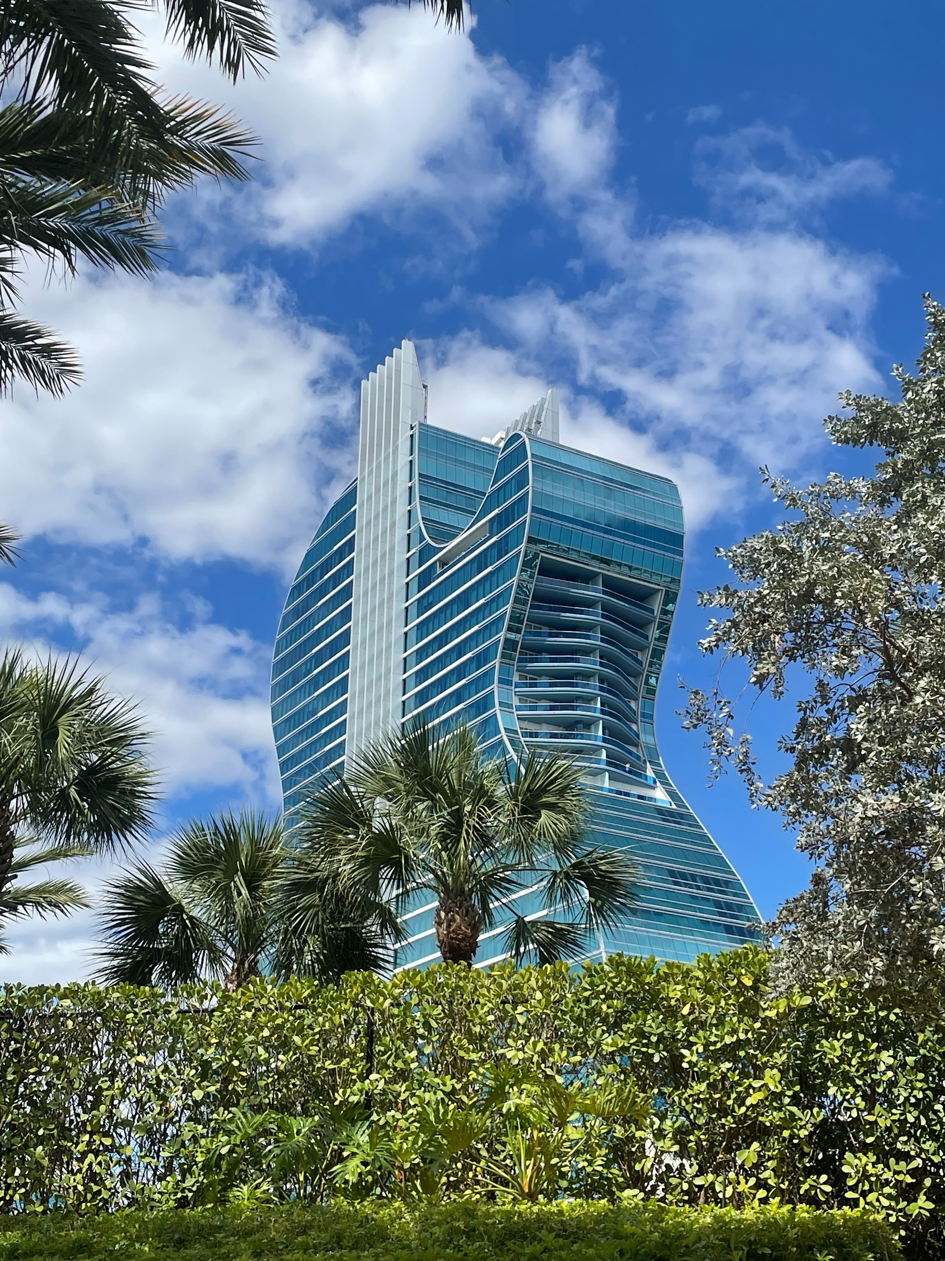 A view looking over a green hedge and palm trees towards a tall futuristic building. 