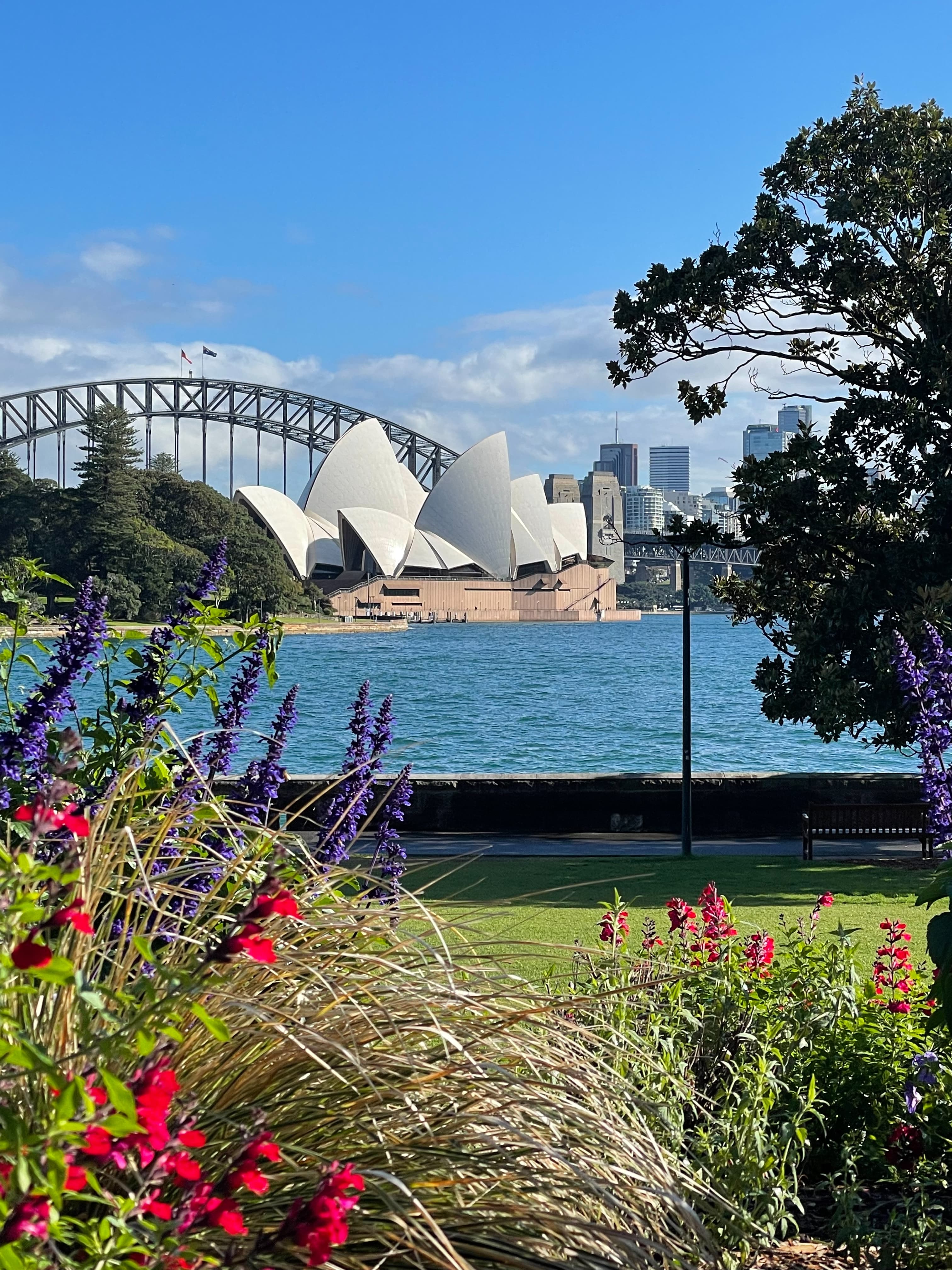 A view across a green lawn with pink flowers and a body of water with the Sydney Opera House in the distance.