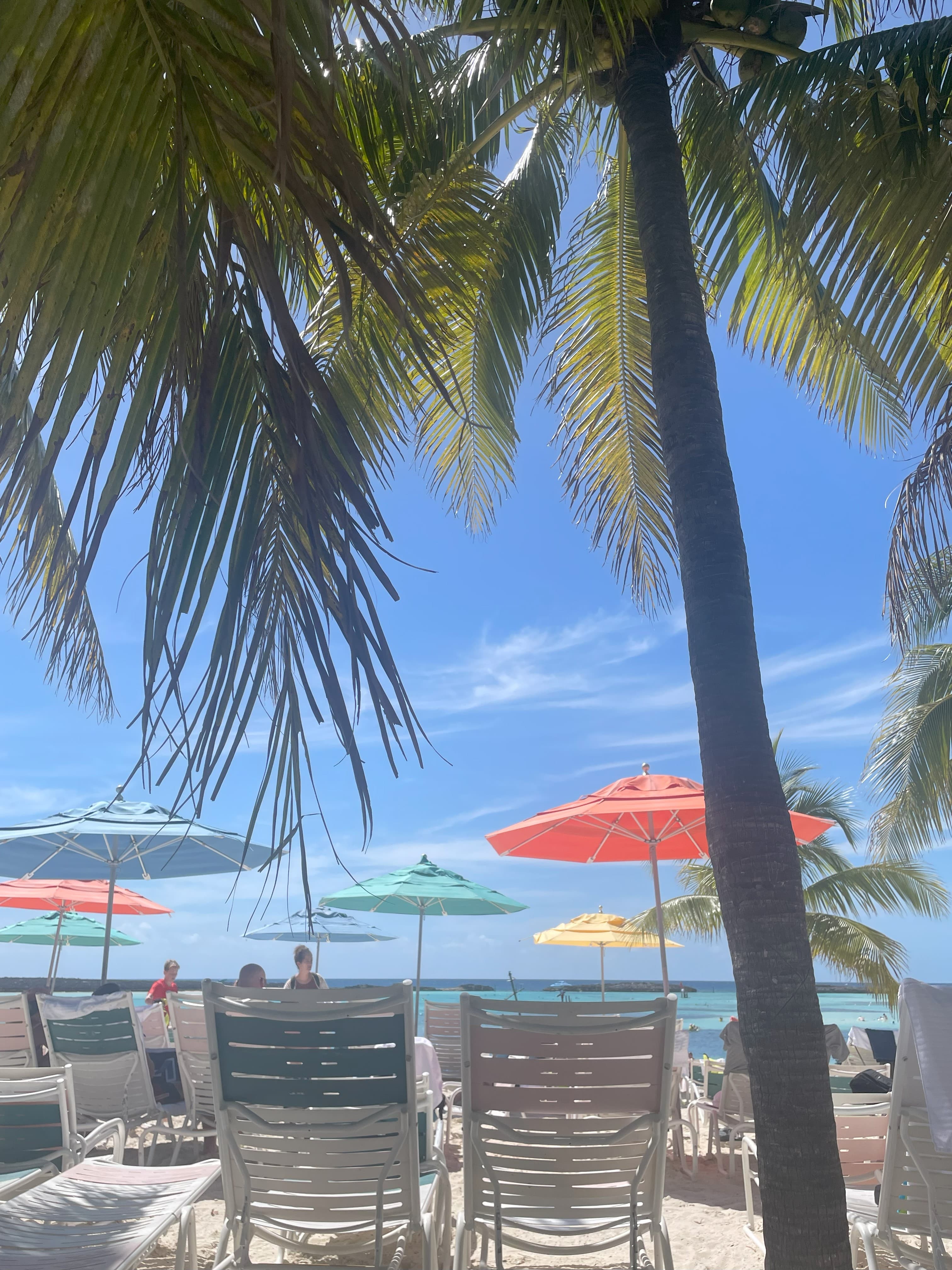 View of lounge chairs under a palm tree on a sunny beach