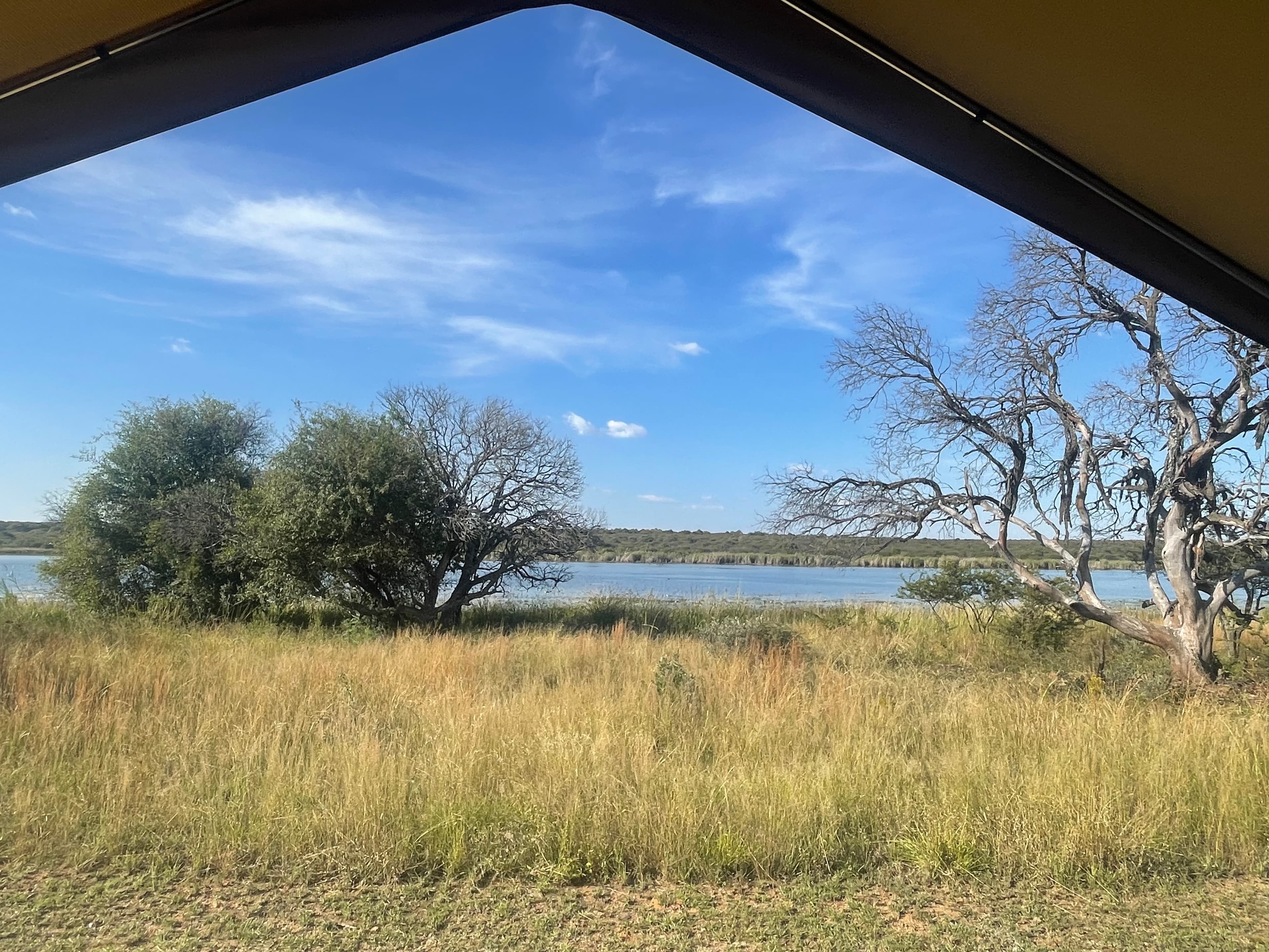 A view from a tent of a grassy meadow and small pond during the day.