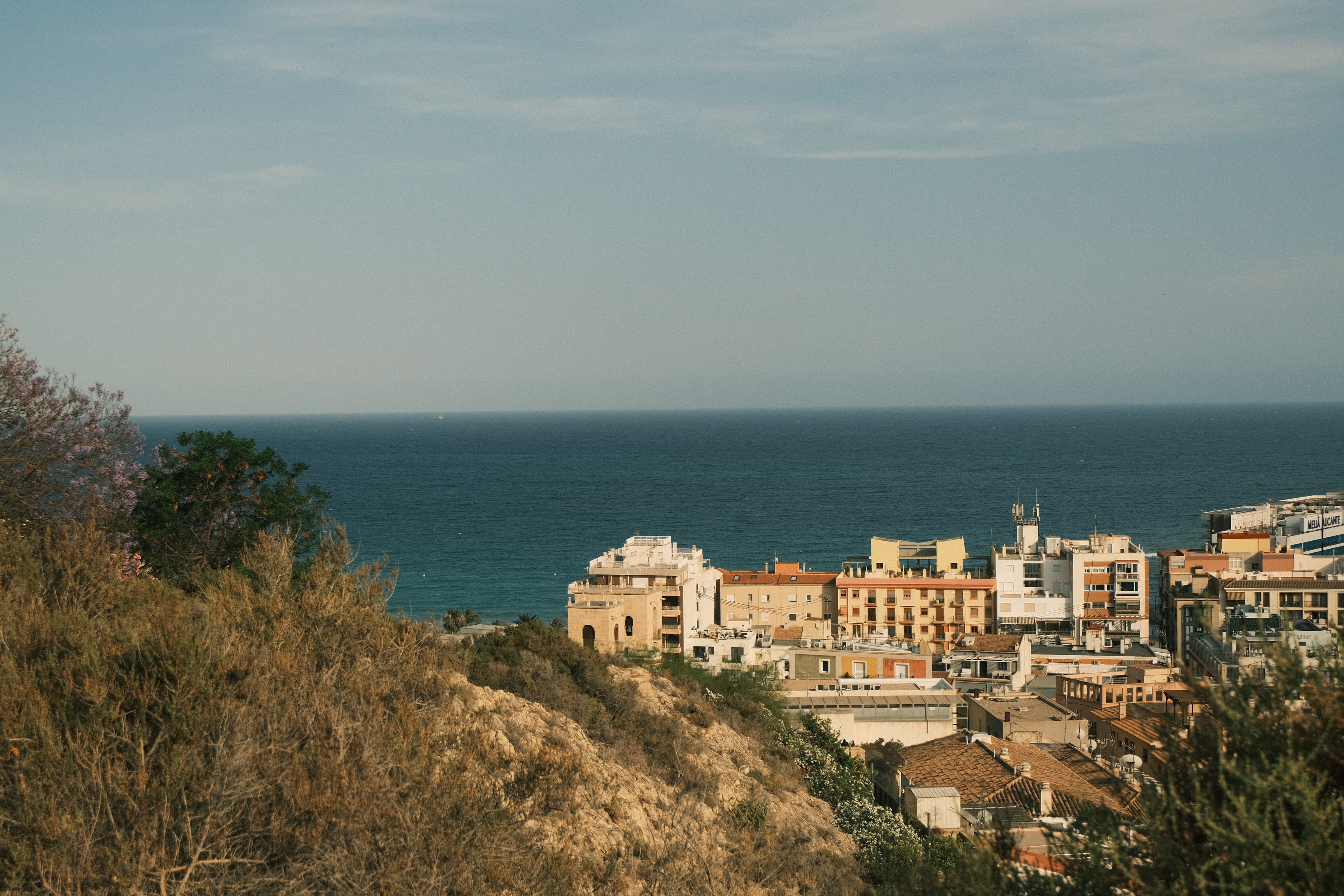 Urban landscape seen from hill with ocean view.