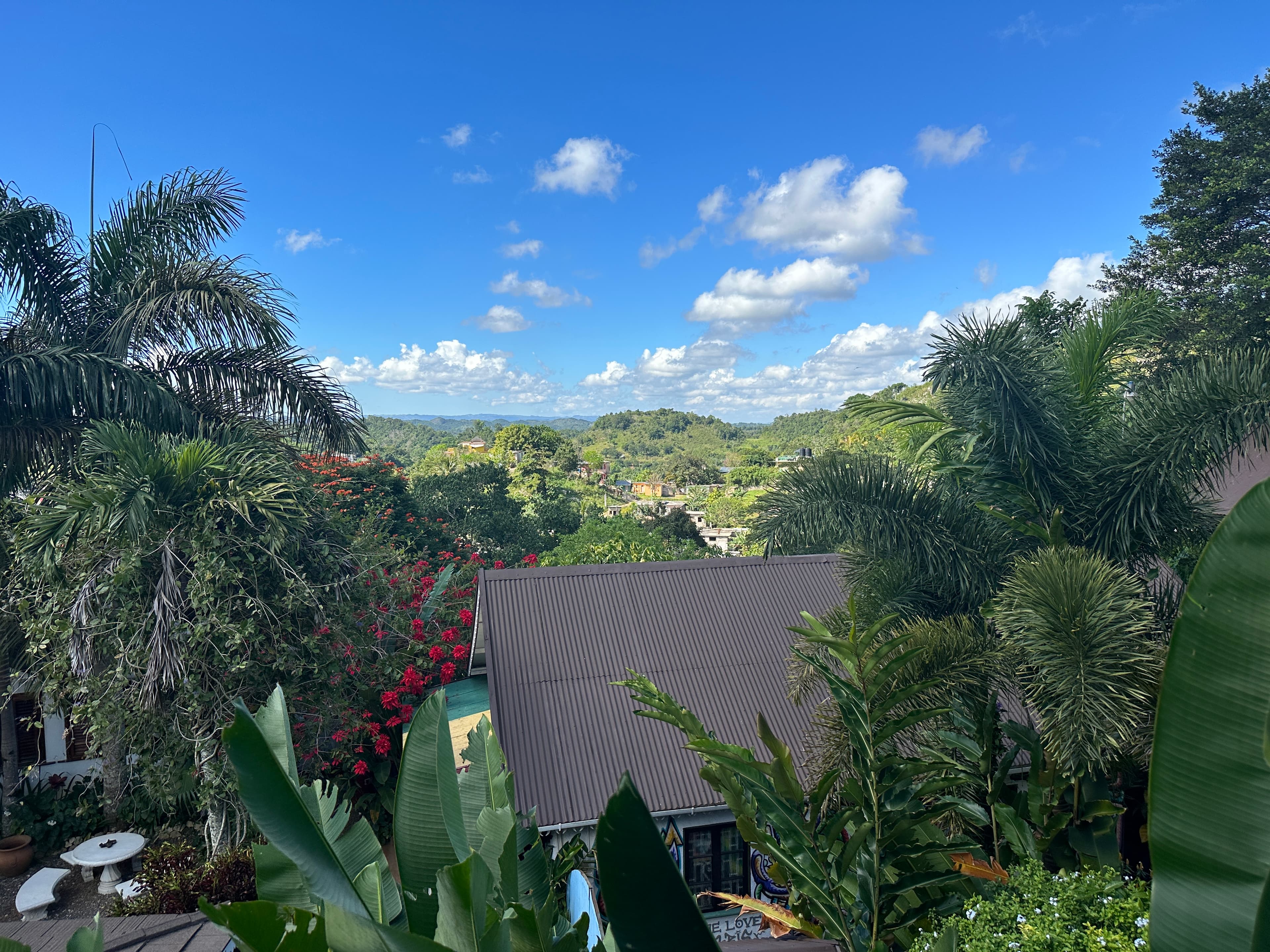View of a roof surrounded by treetops on a sunny day
