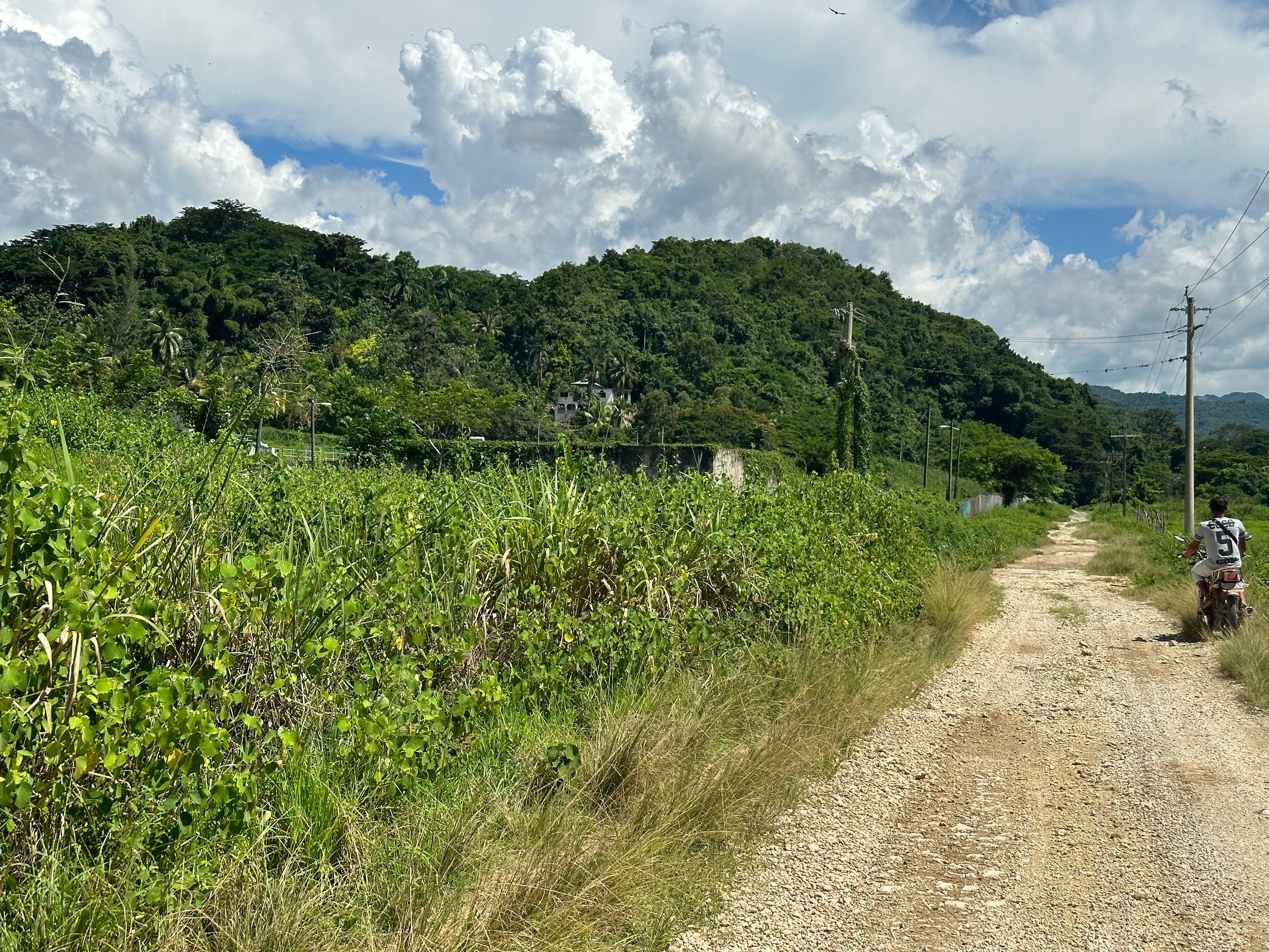View of an empty, narrow dirt path besides lush green mountains