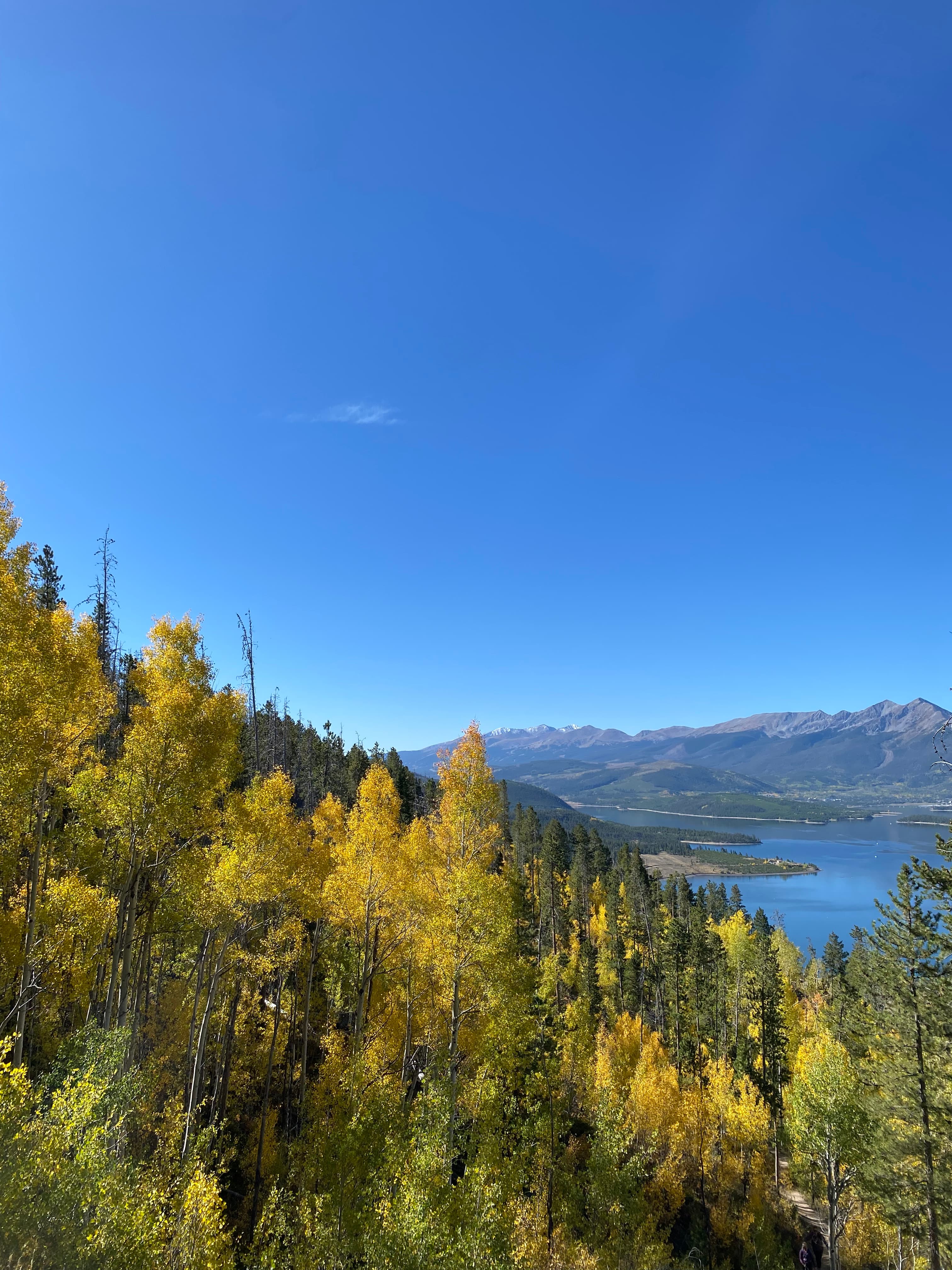 Beautiful view of trees on a mountainside overlooking a river in the distance under clear skies