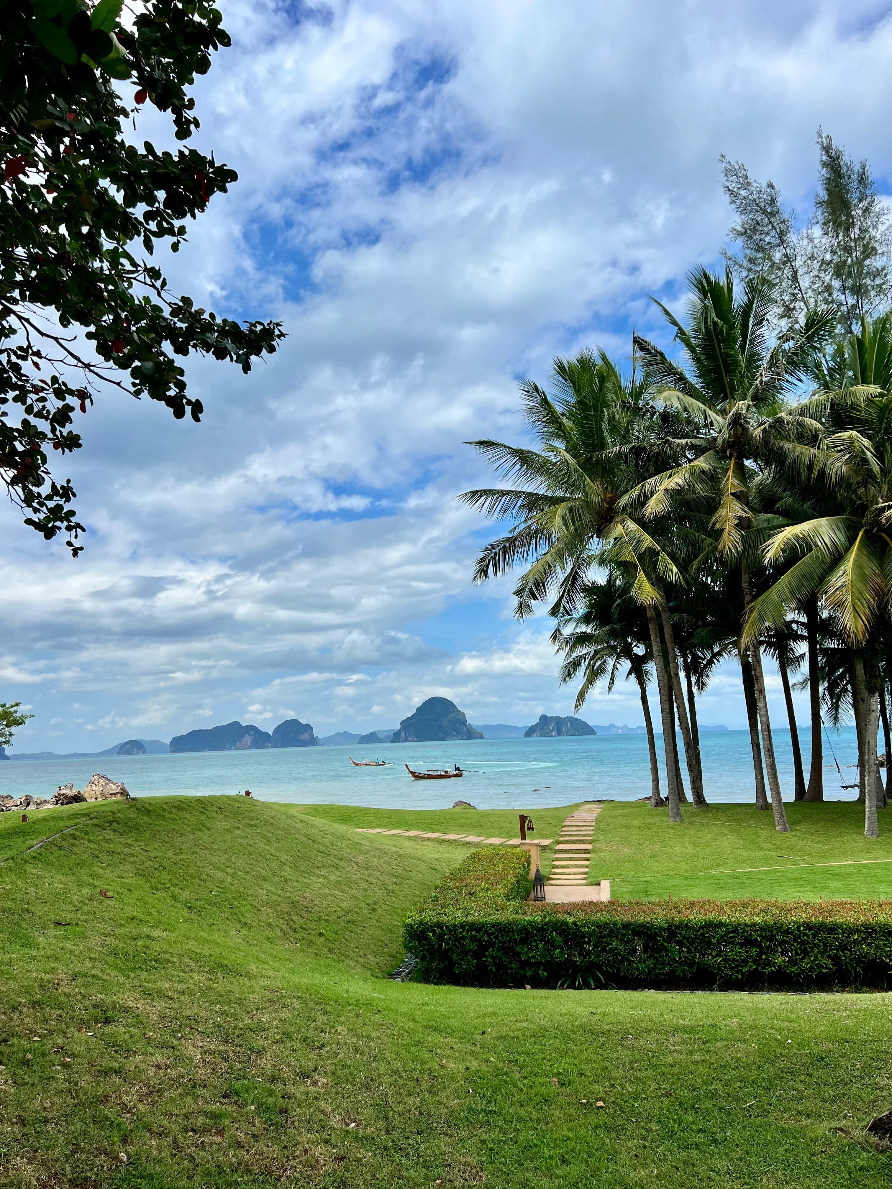 View of a grassy area and cluster of palm trees overlooking the sea on a sunny day