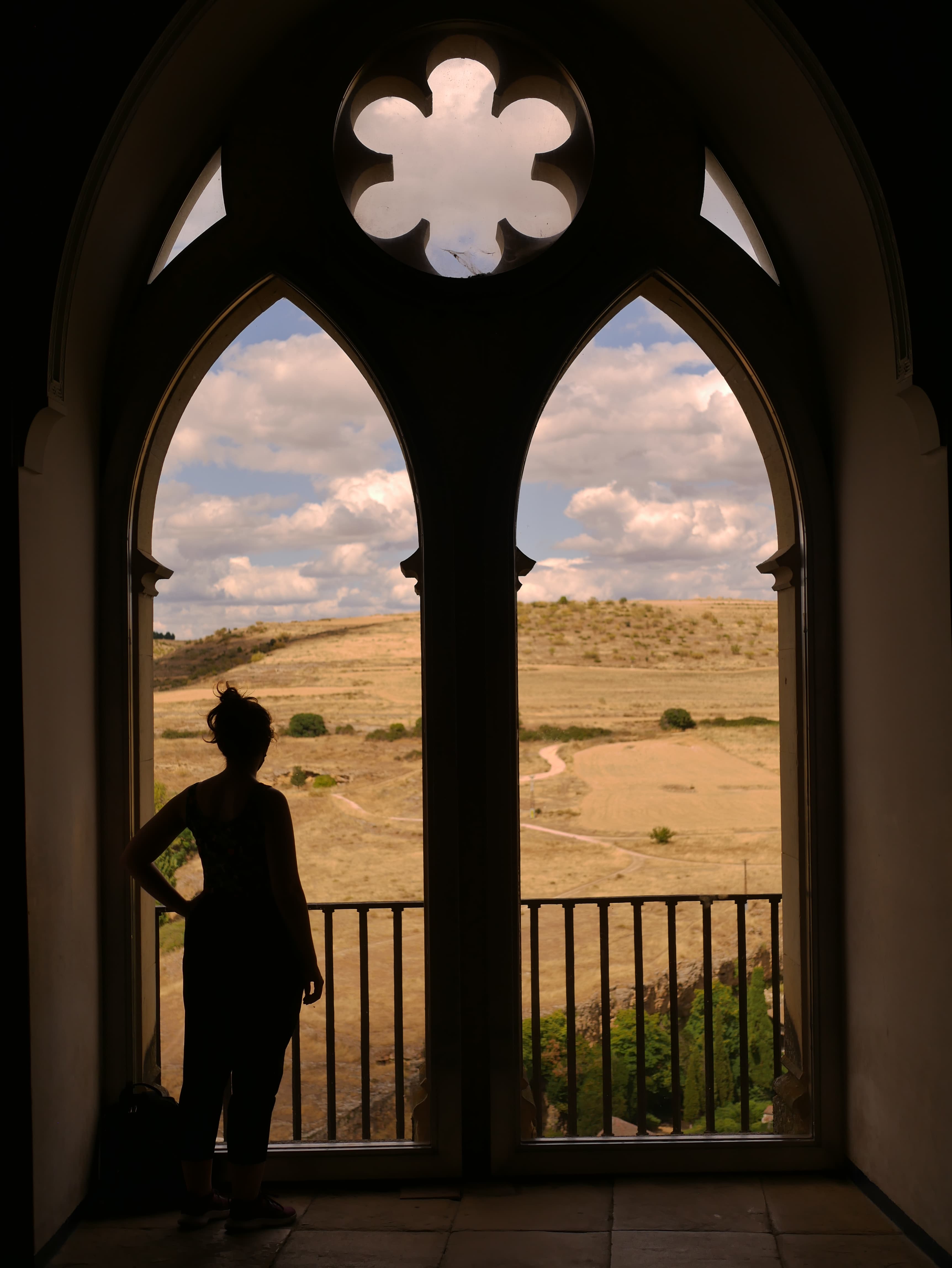 View of advisor in silhouette standing in front of two arched windows looking out over a valley