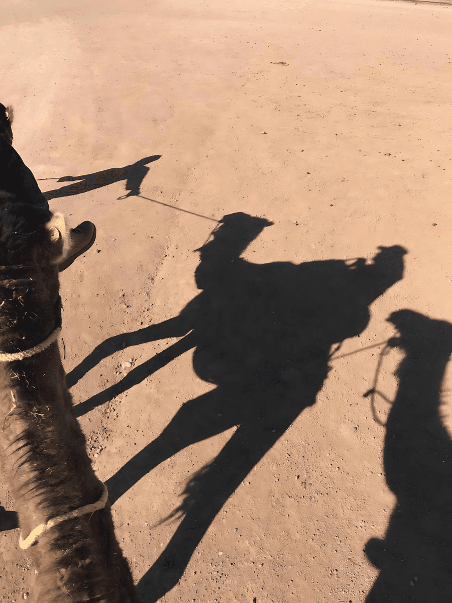 View of three people on camelback in silhouette against desert sand