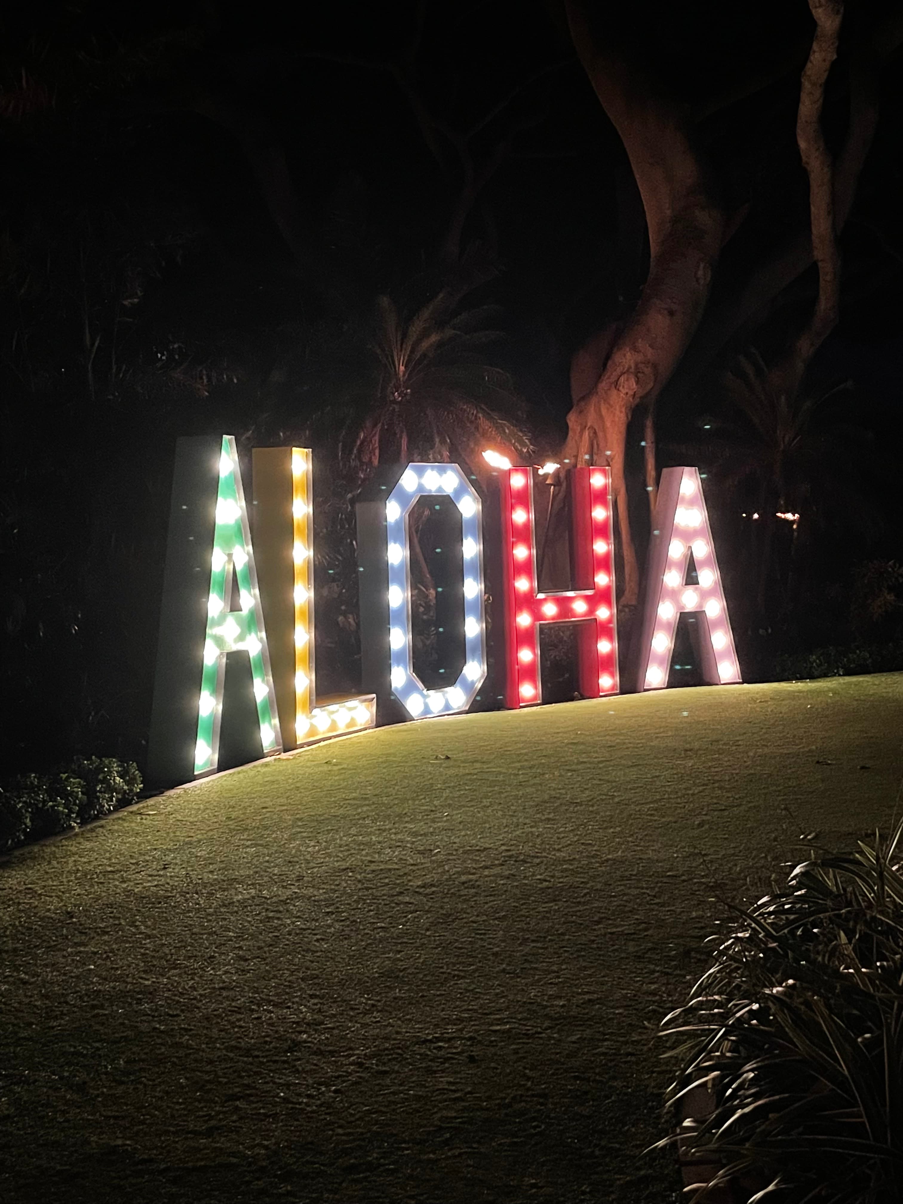 A sign that says 'Aloha' lit up at night surrounded by palm trees. 