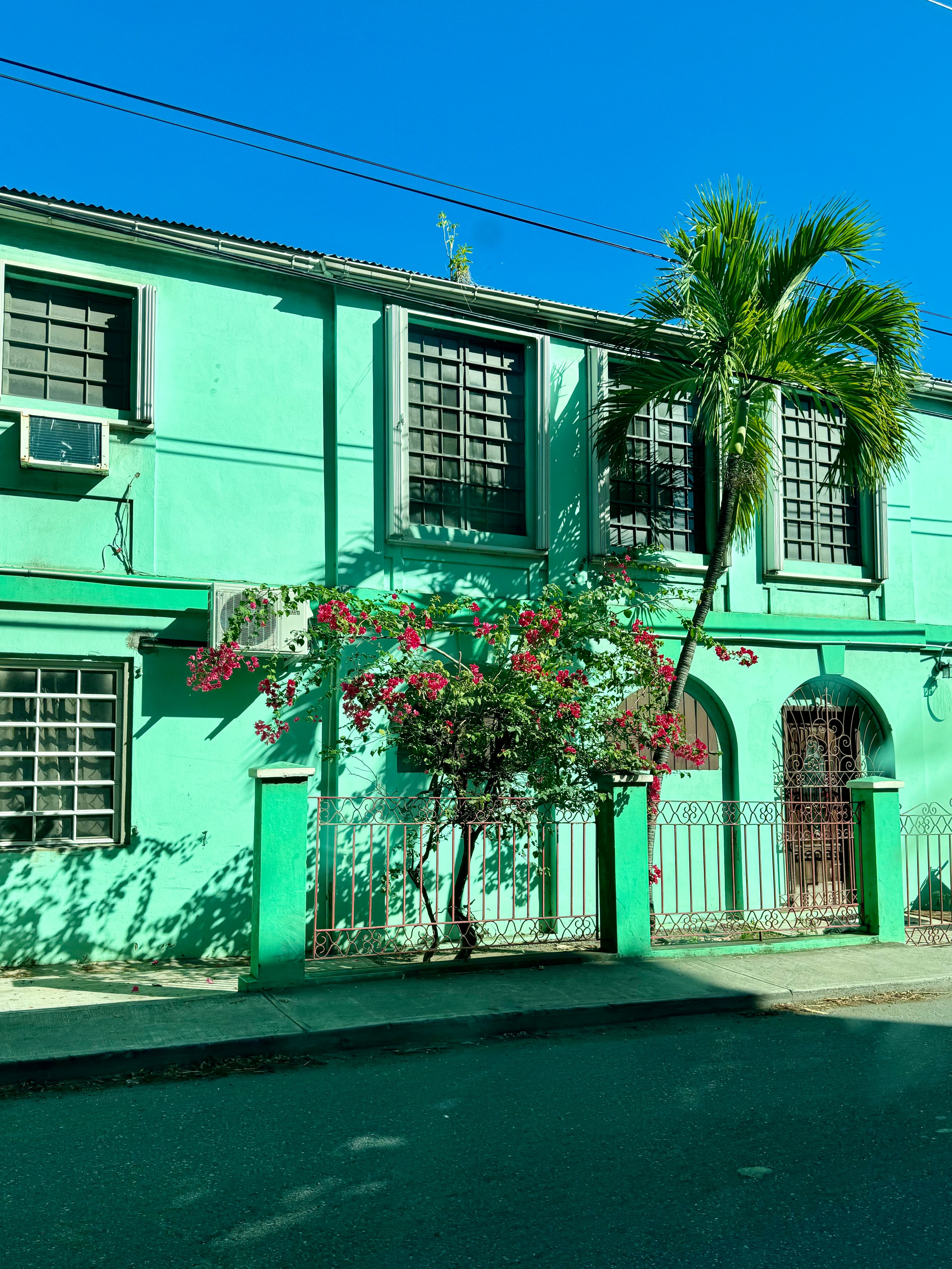 A bright green building with palm trees on a sunny day. 
