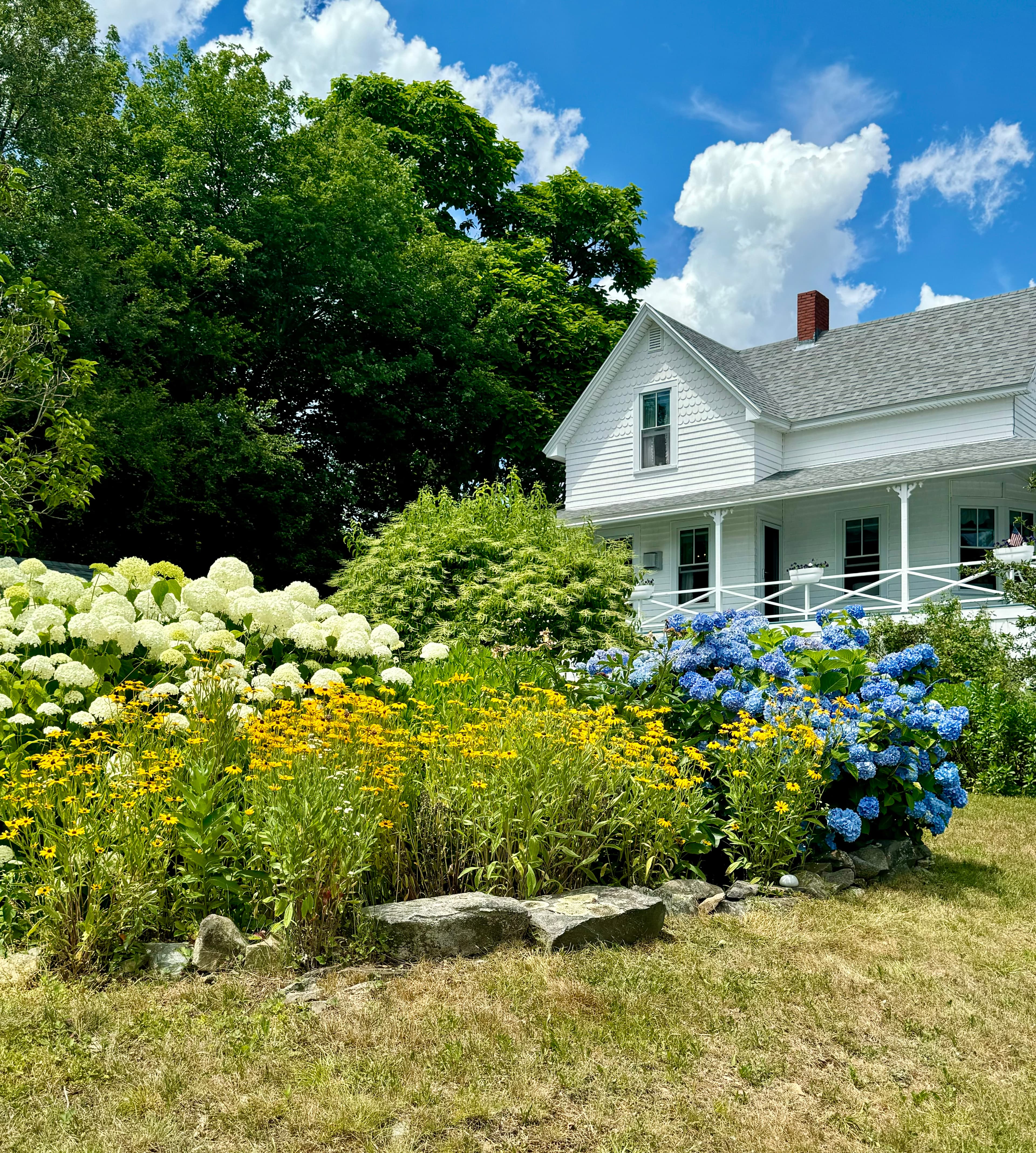 A white cottage with a garden on a sunny day. 