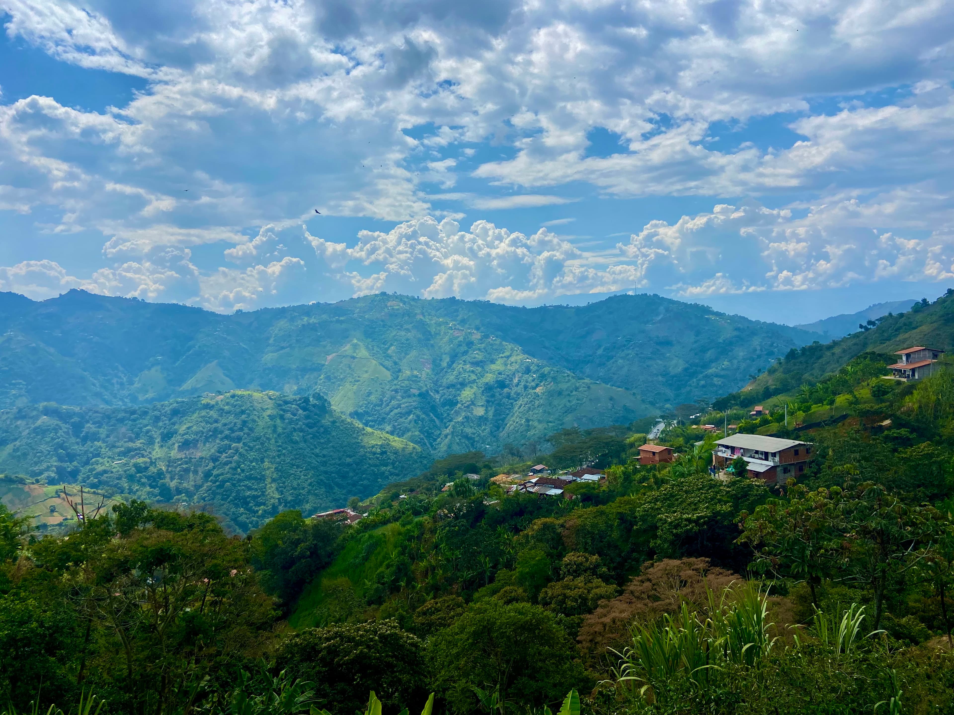 Beautiful view of a lush green mountain landscape on a sunny day