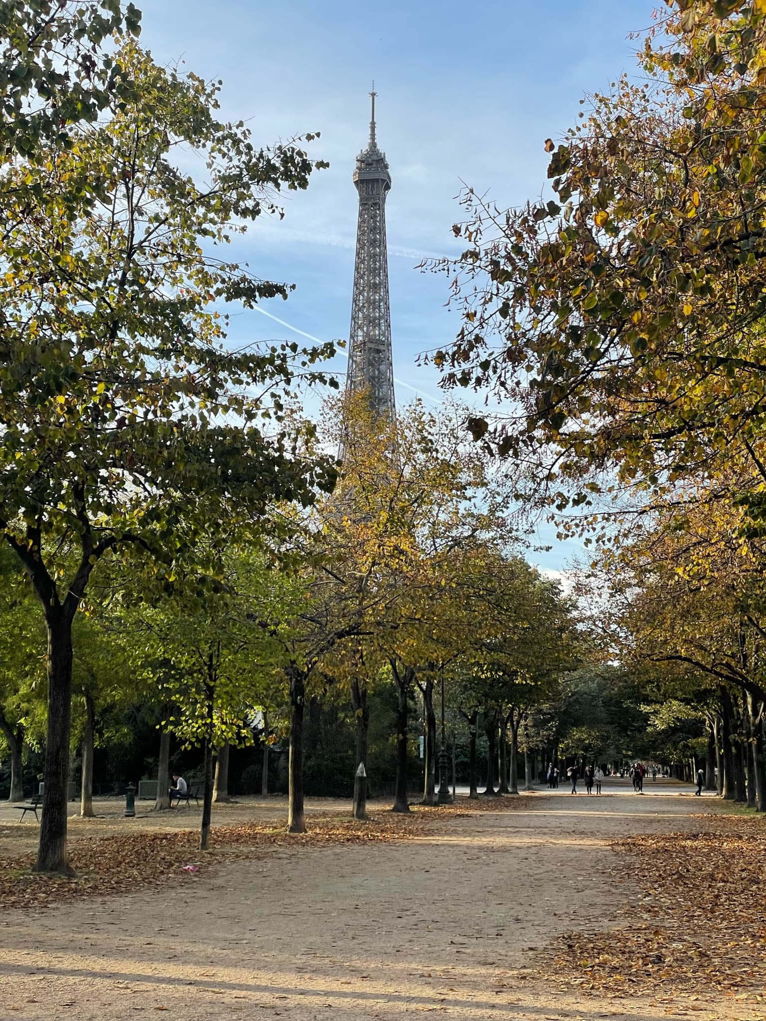 View of an empty park path lined with trees and the Eiffel Tower visible in the distance