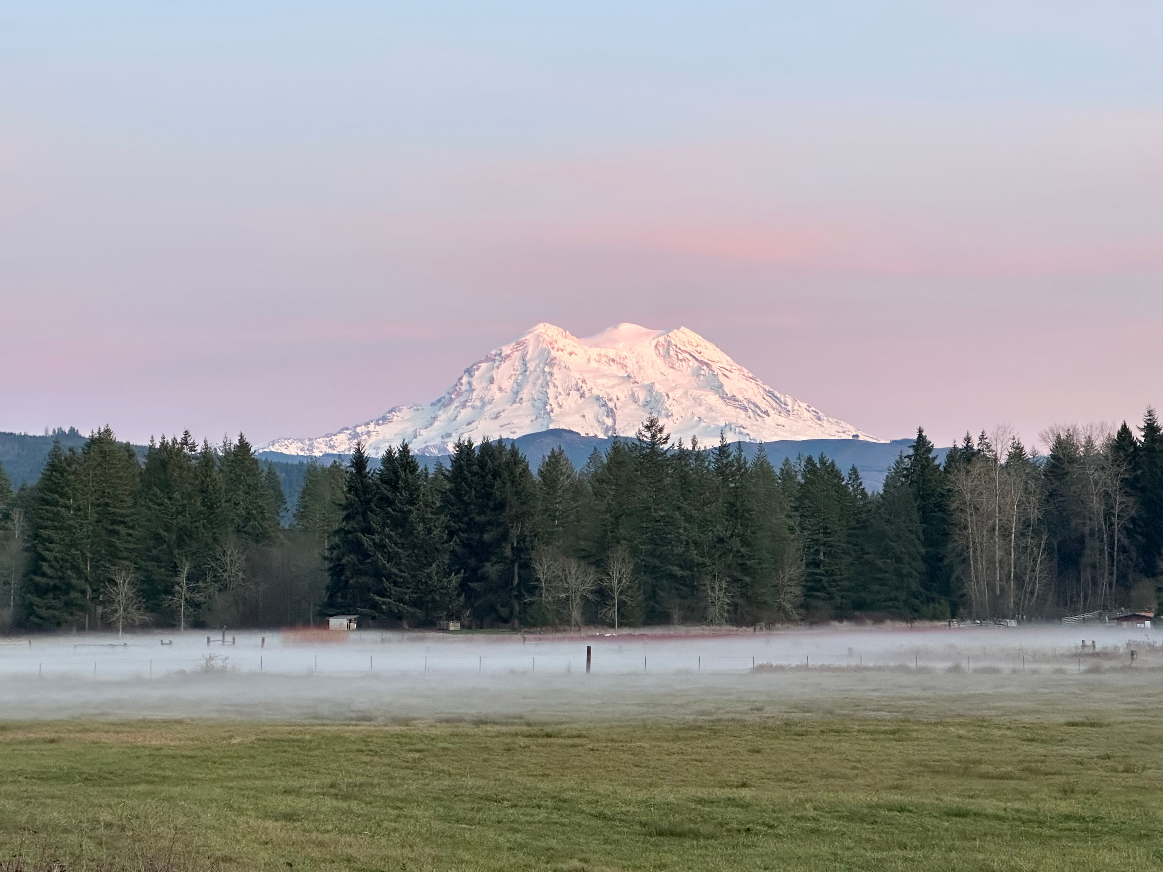 Snowy mountains over a forest.