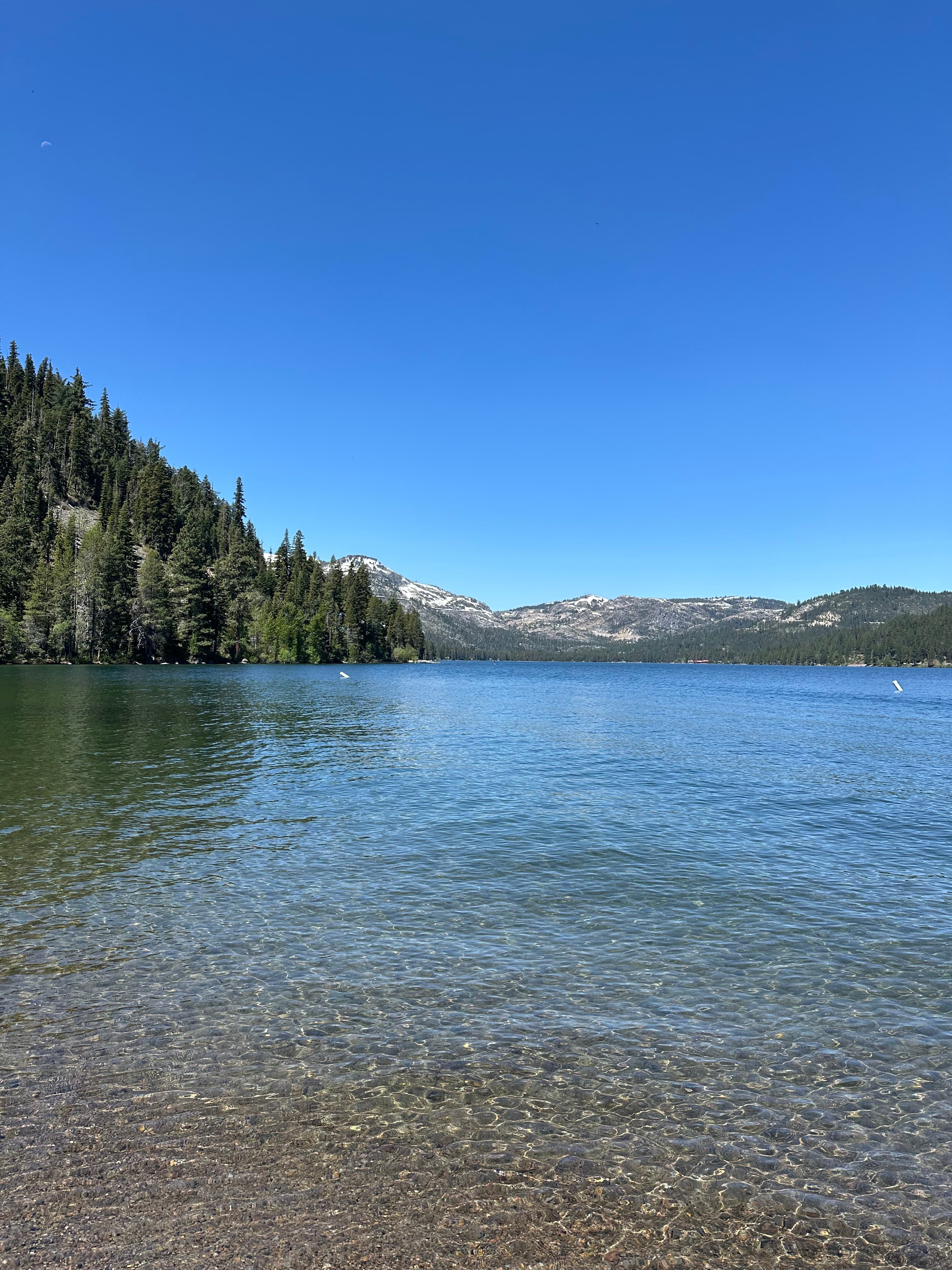 View of a beautiful calm lake and surrounding trees on a clear day