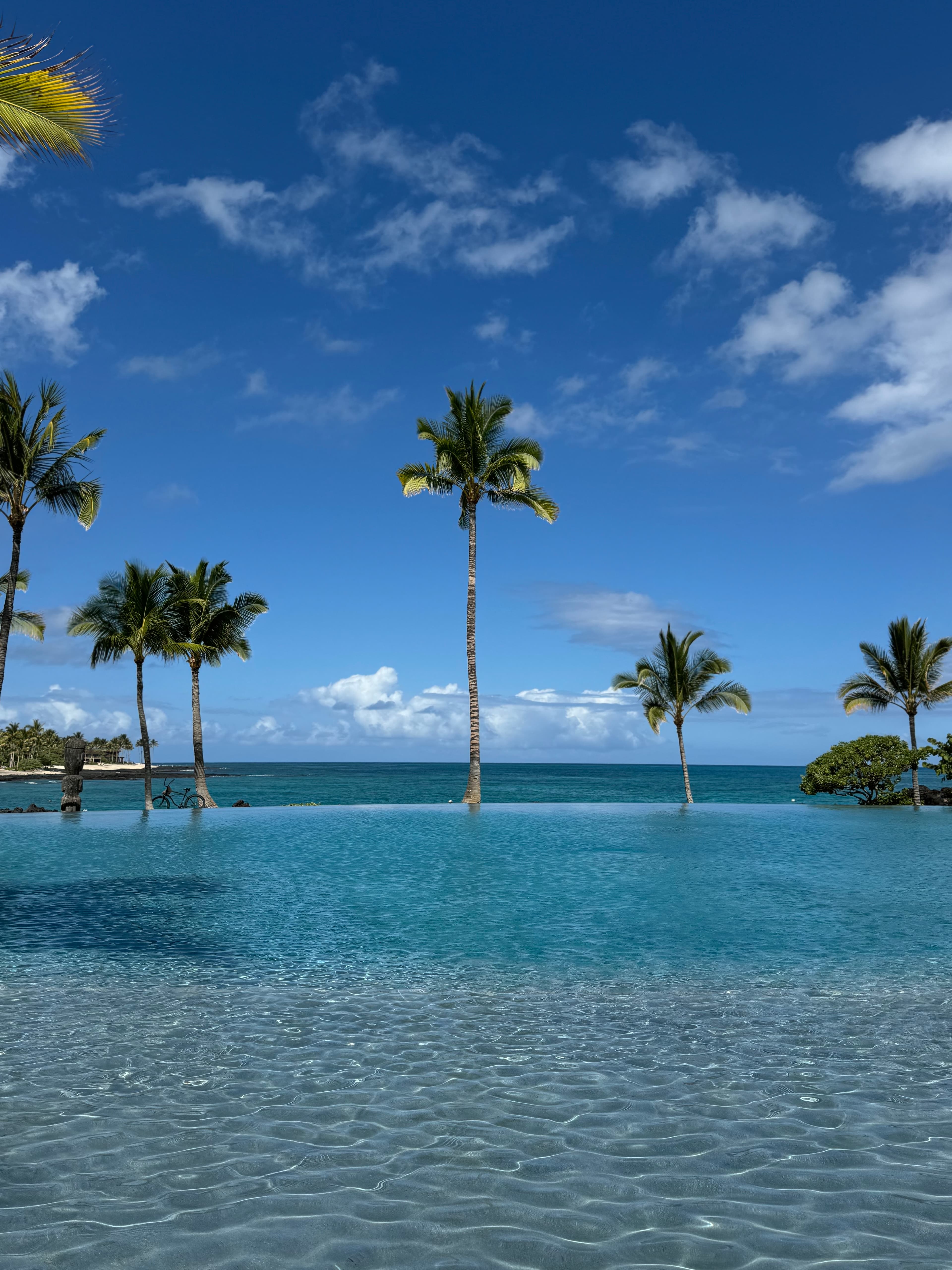 Beautiful view of an empty infinity pool overlooking the sea