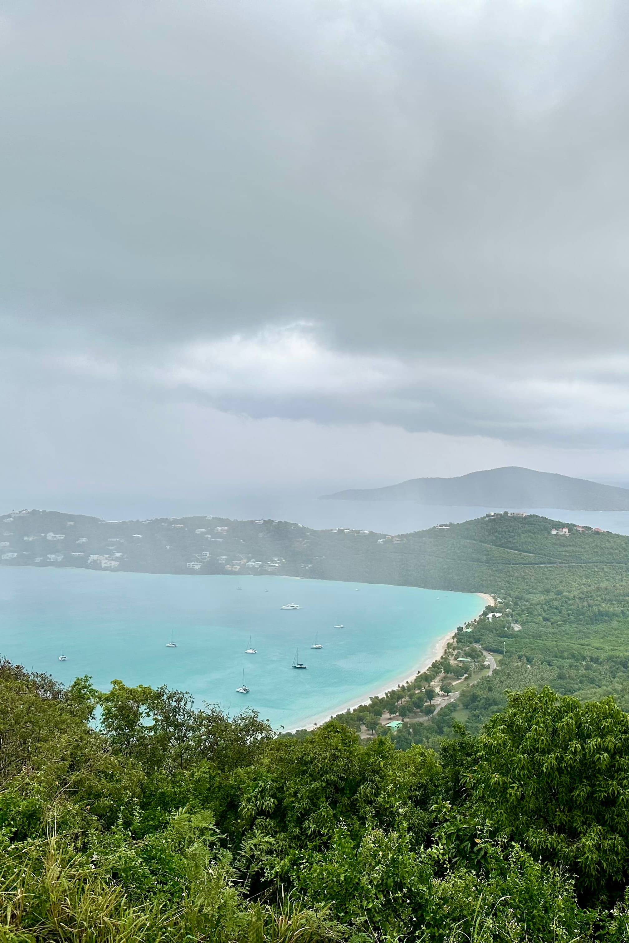 A view of a coast line surrounded by foliage on a sunny day.