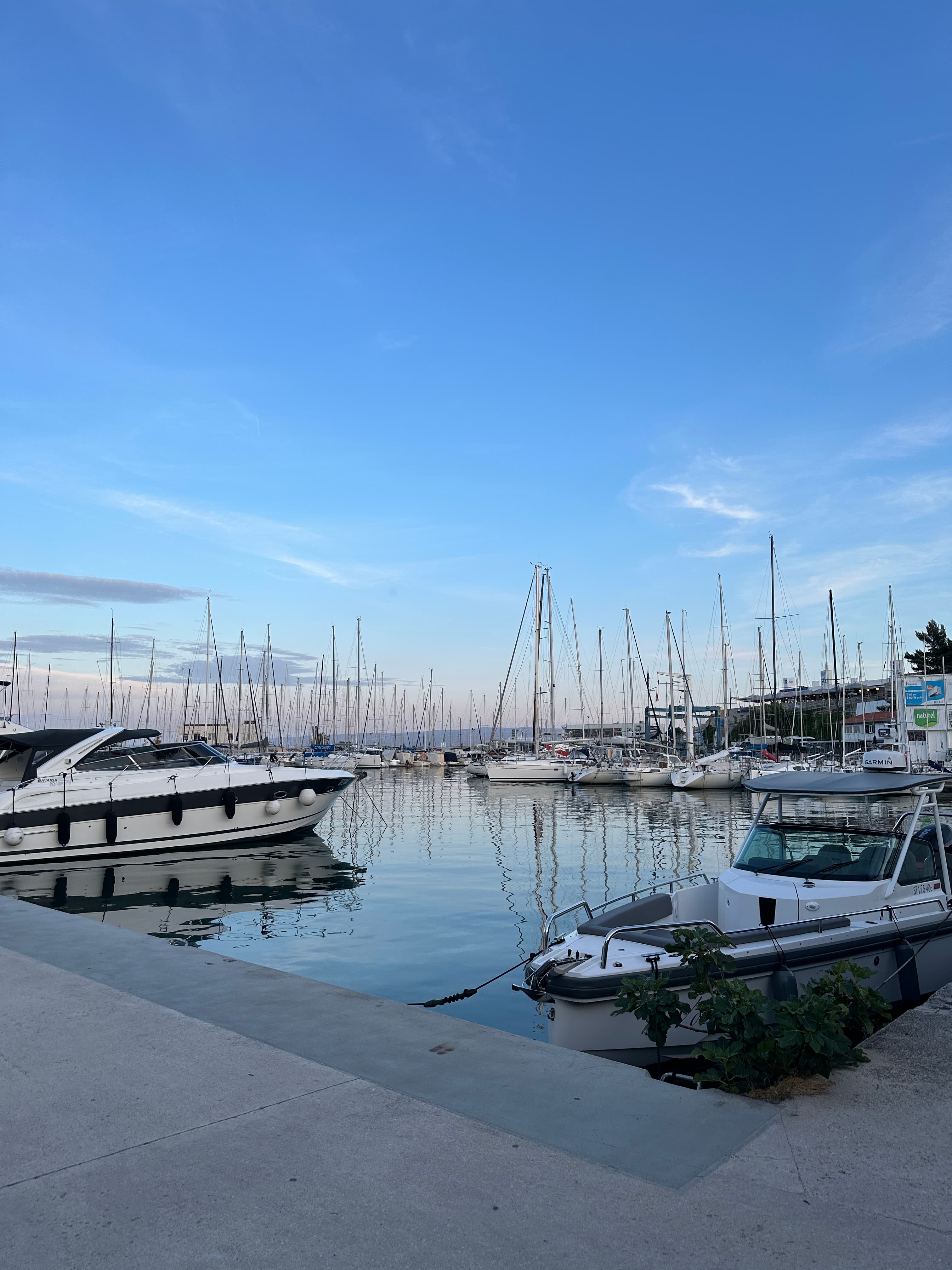 View of a marina with boats docked under clear skies