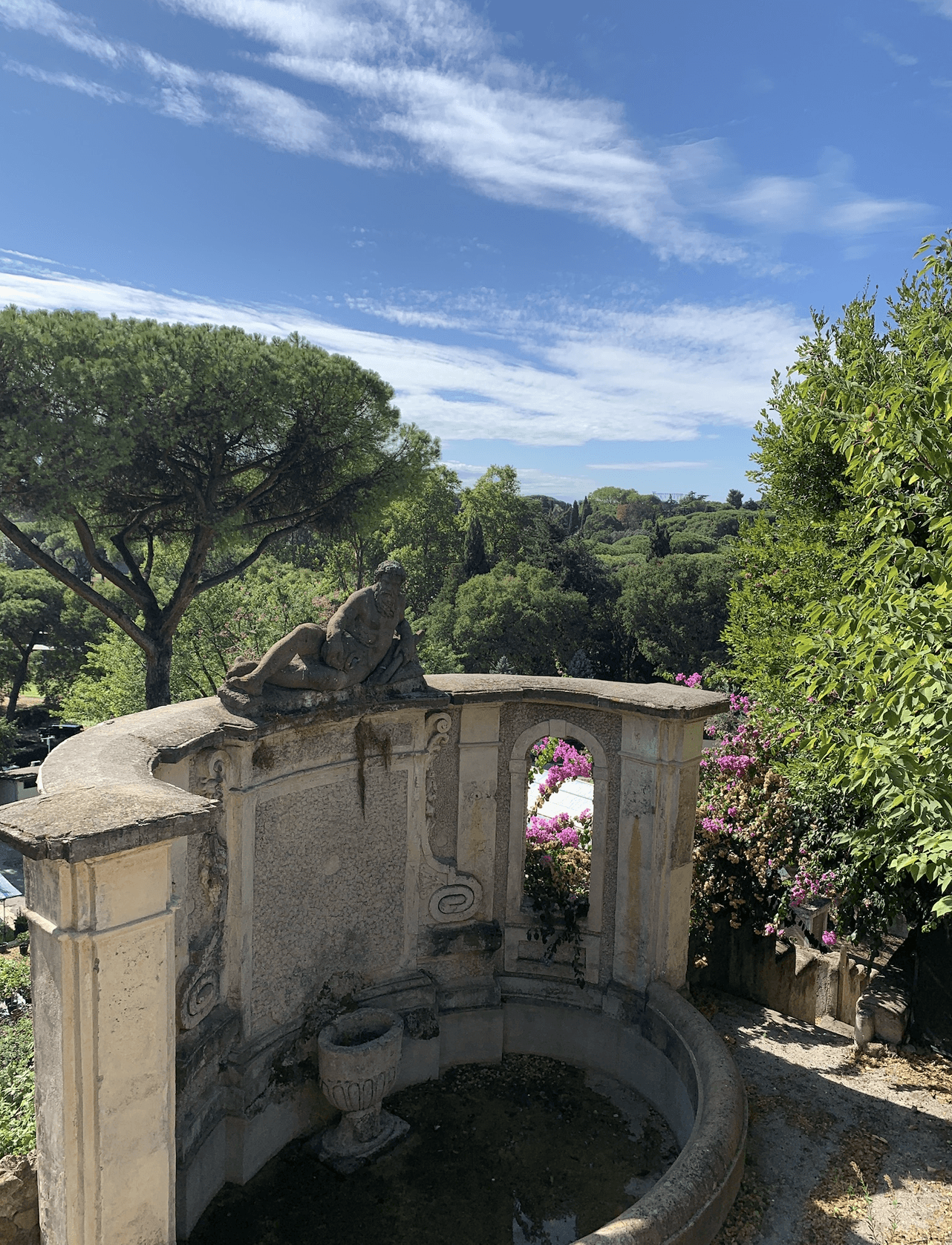 A view of a garden on a sunny day. 