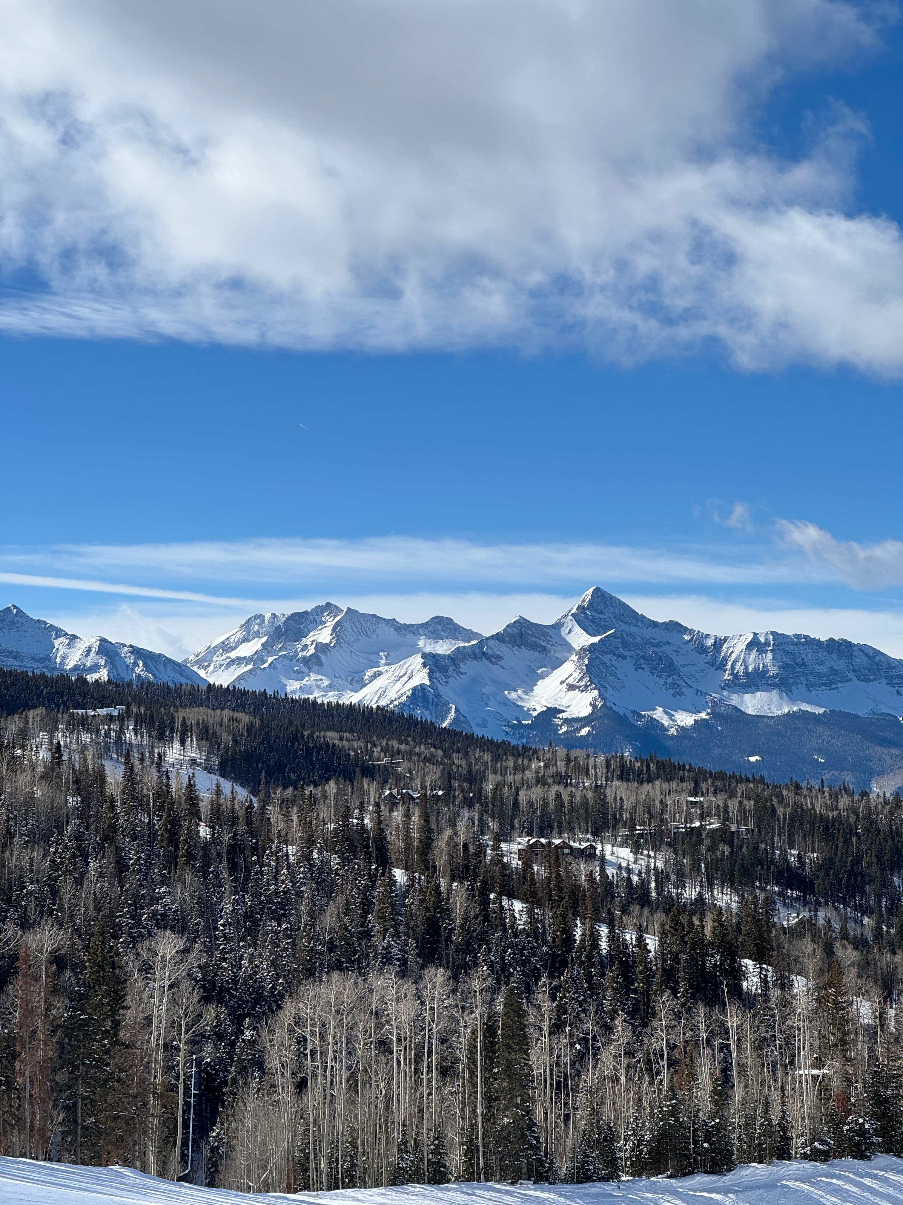 Beautiful view of pine trees and a snowy mountain range in the distance on a sunny day