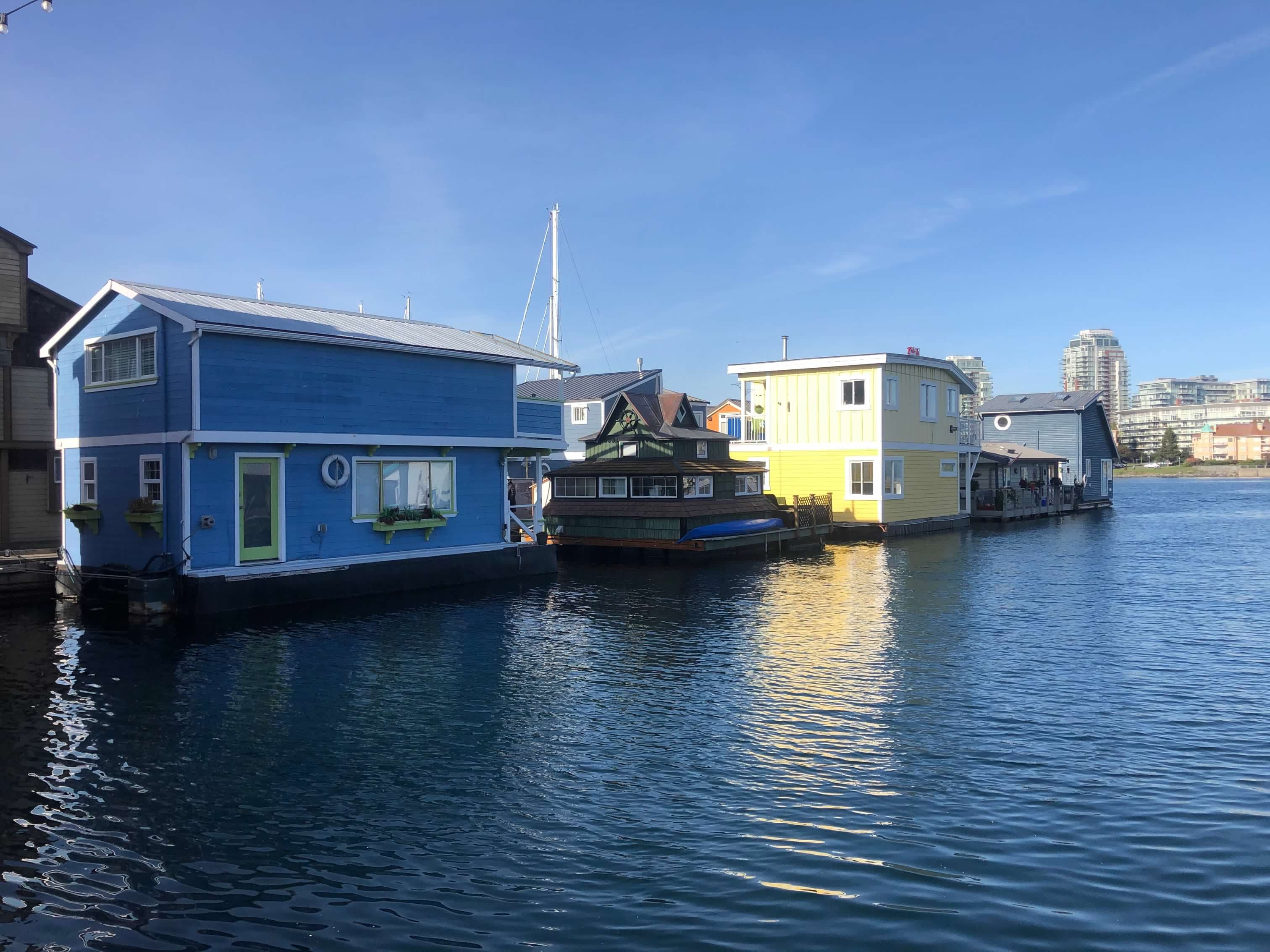 Houseboats lined near a pier as water gently laps shore on a sunny day. 