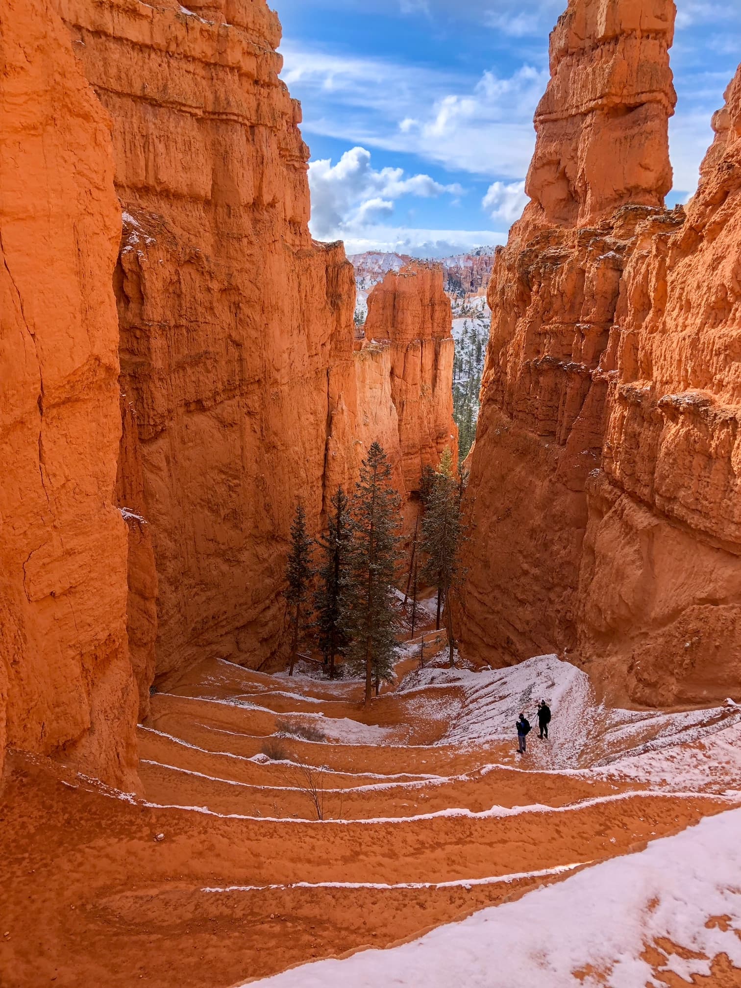 View of a narrow trail in between tall red rock formations on a sunny day