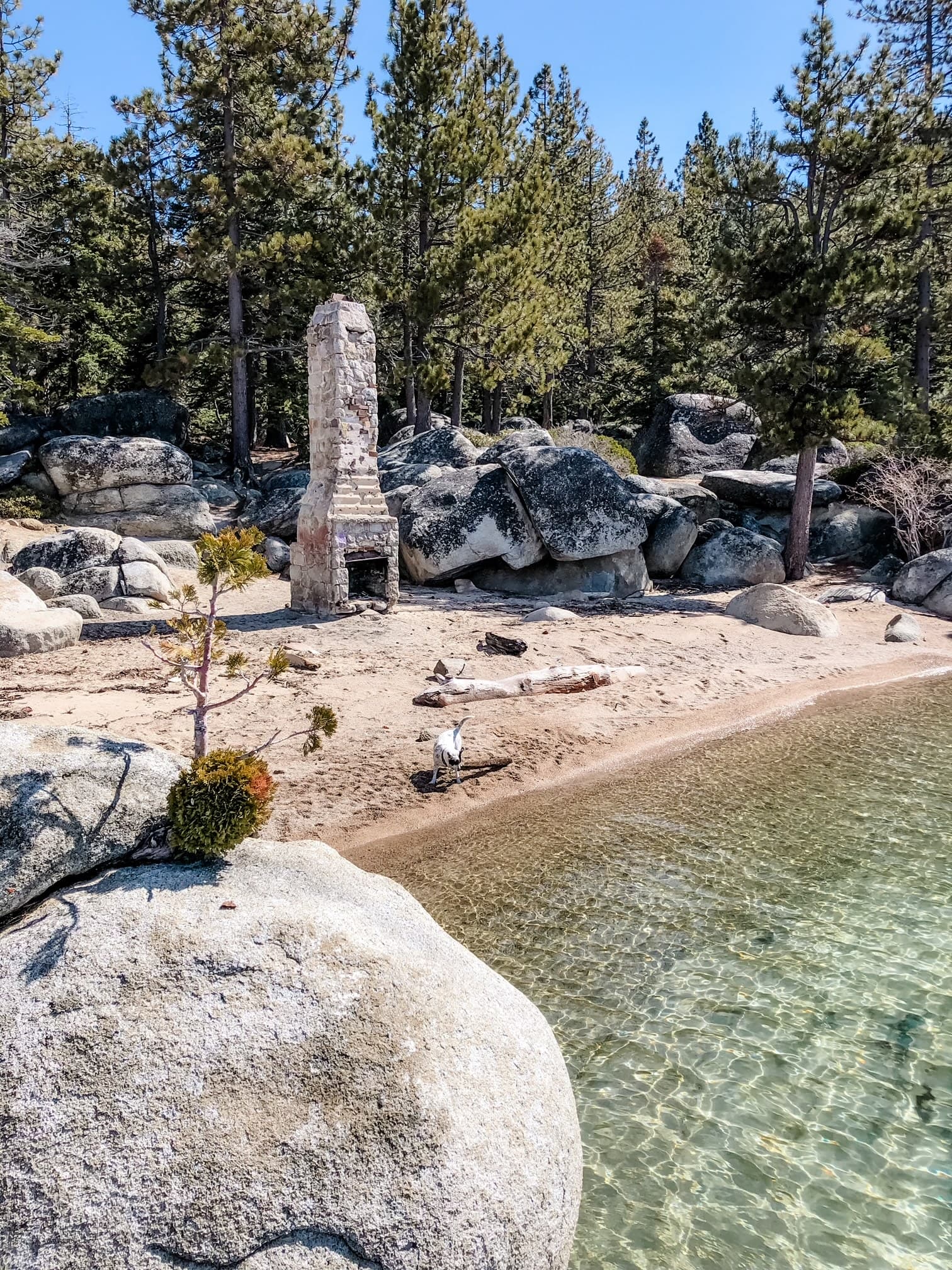 View of a small beach area and crystal clear ocean water surrounded by tall trees