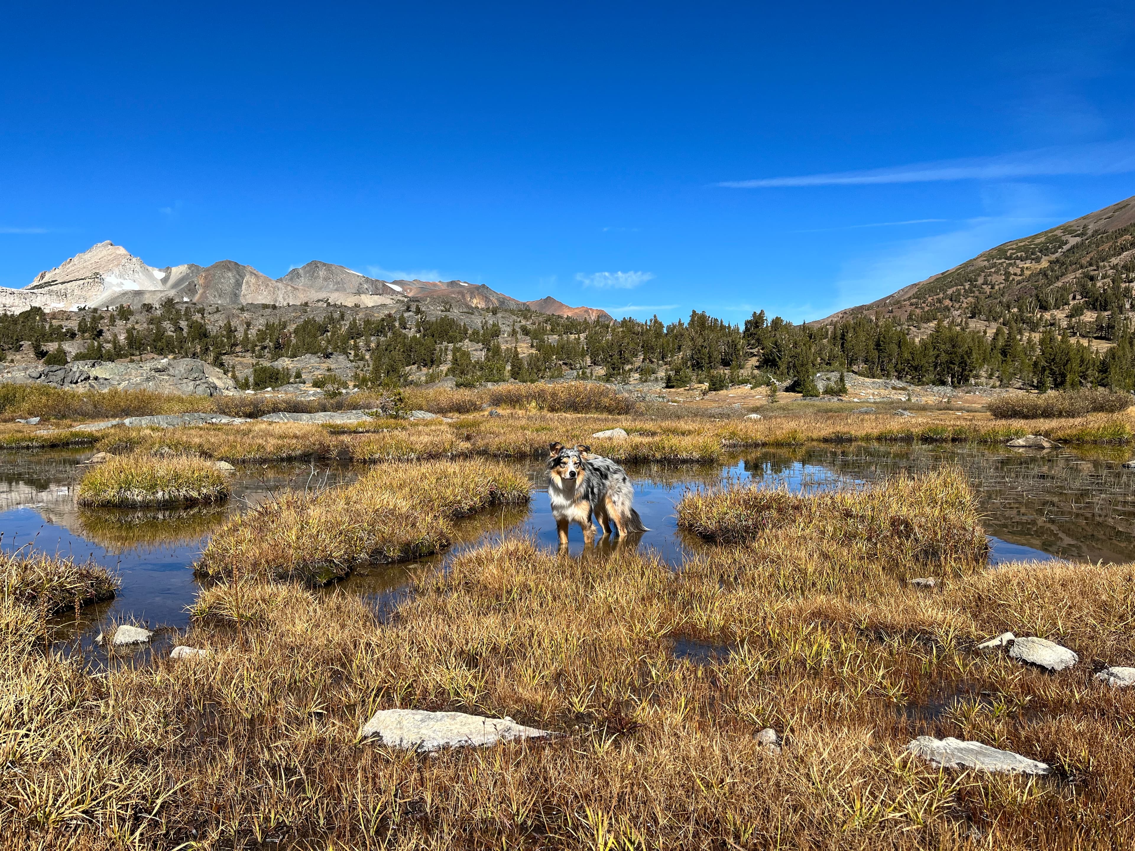 View of a beautiful natural landscape with mountains in the distance on a clear day